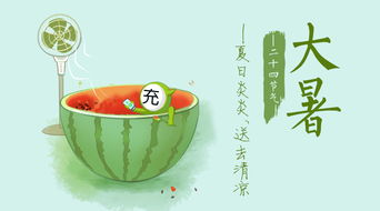 草的魅力，一码至四码的深度解析-第2张图片