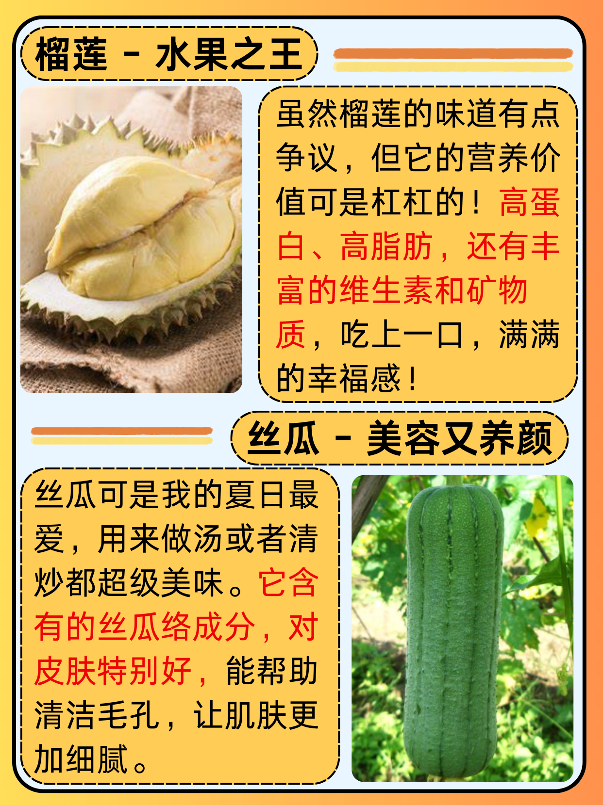 丝瓜草莓视频app探索丝瓜草莓视频app的魅力-第1张图片