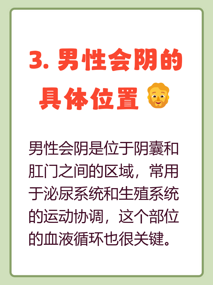 欧美人体生殖阴部探索欧美人体生殖阴部的科学知识-第2张图片