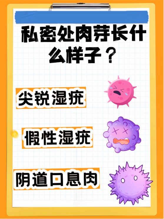 关于私密话题的探讨，如何正确理解两性关系中的互动