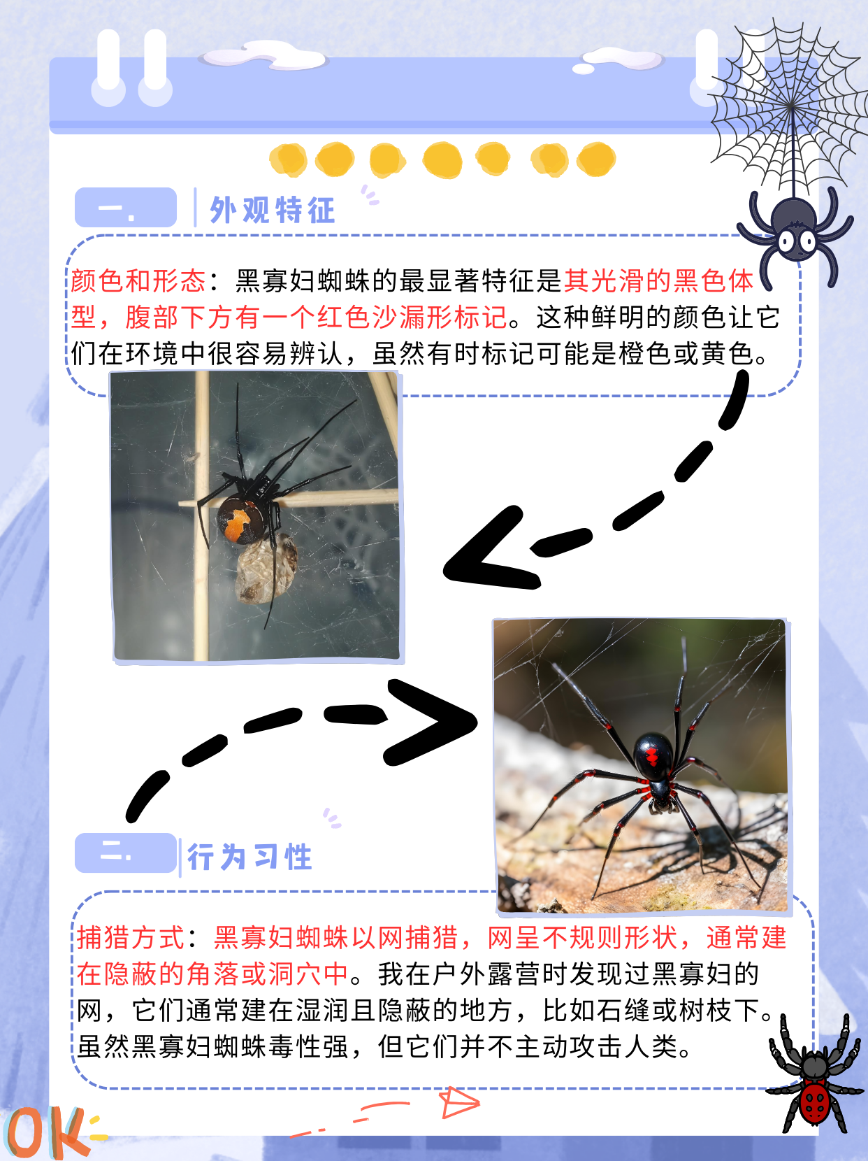 lol蜘蛛叫什么名字英雄联盟中的蜘蛛英雄，她的名字与故事