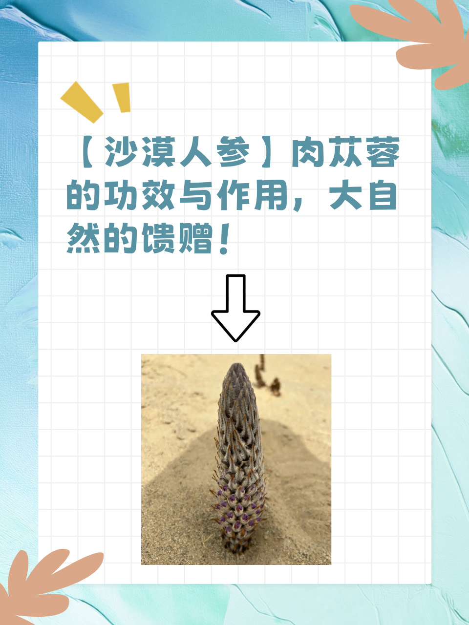 国产的鲁啊鲁，探索与成长