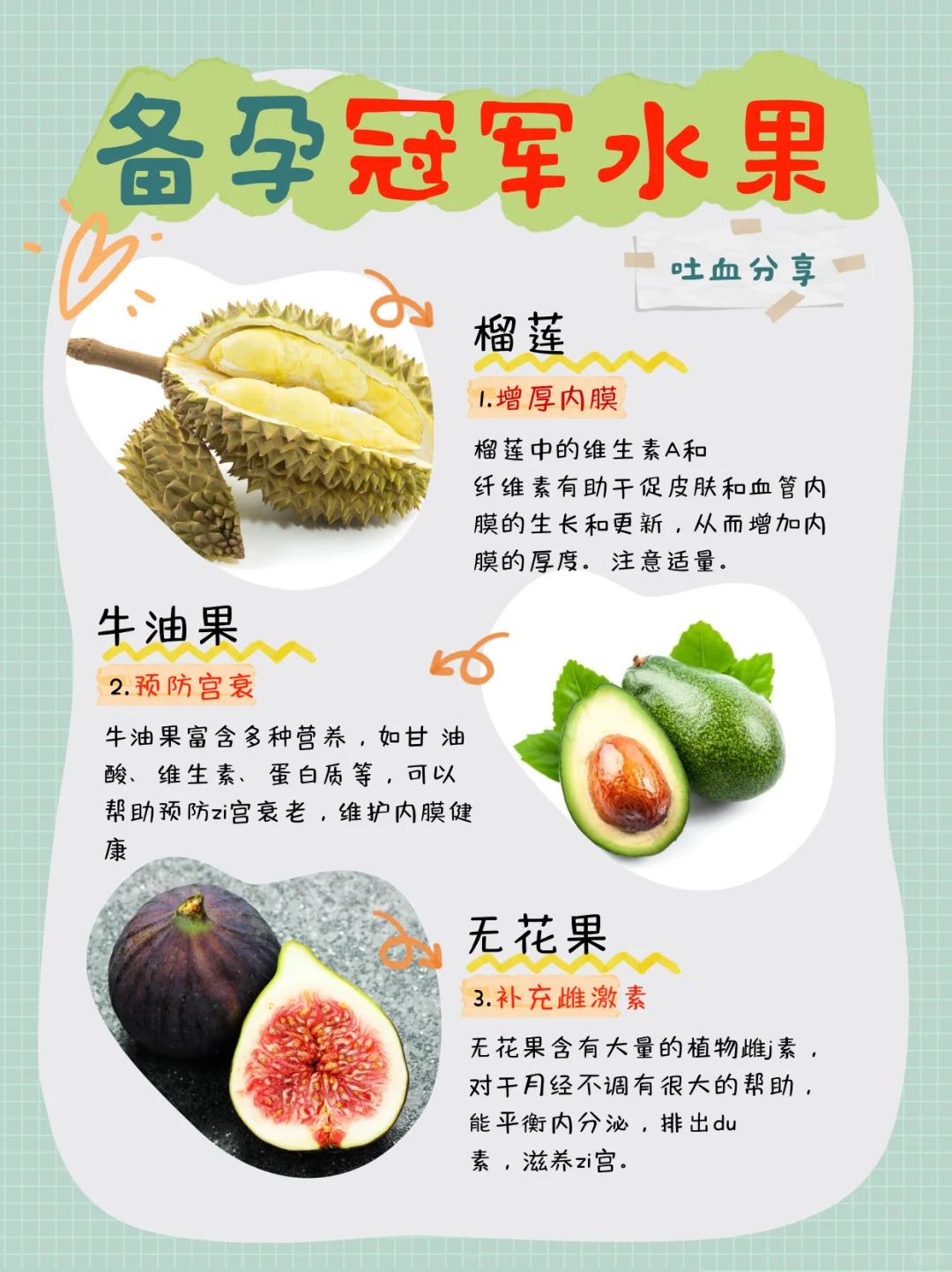 水果盛宴，草莓、香蕉、丝瓜、秋葵与榴莲的全方位解析-第3张图片