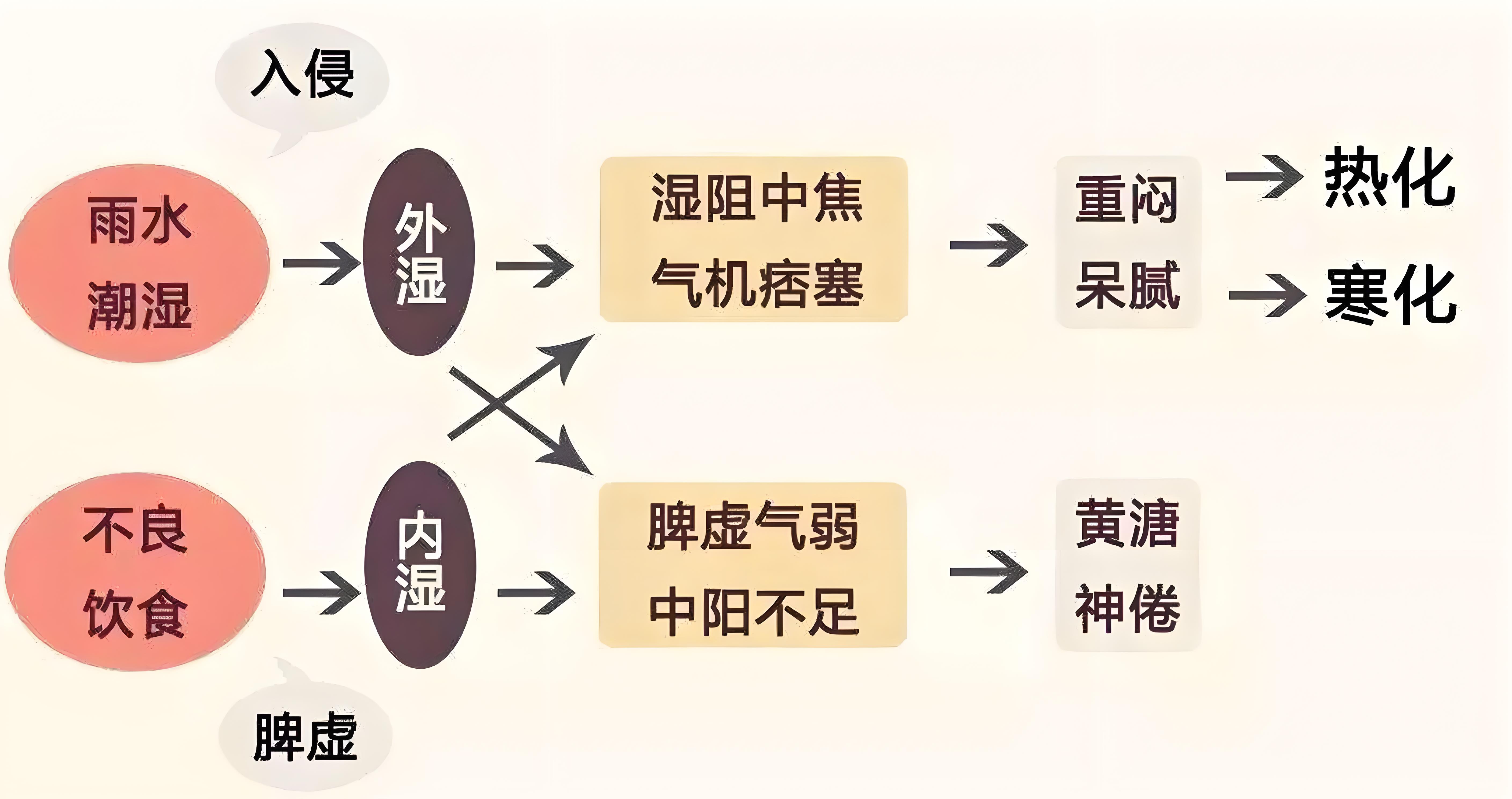 一碰就湿是属于什么体质一碰就湿，探究属于何种体质-第1张图片