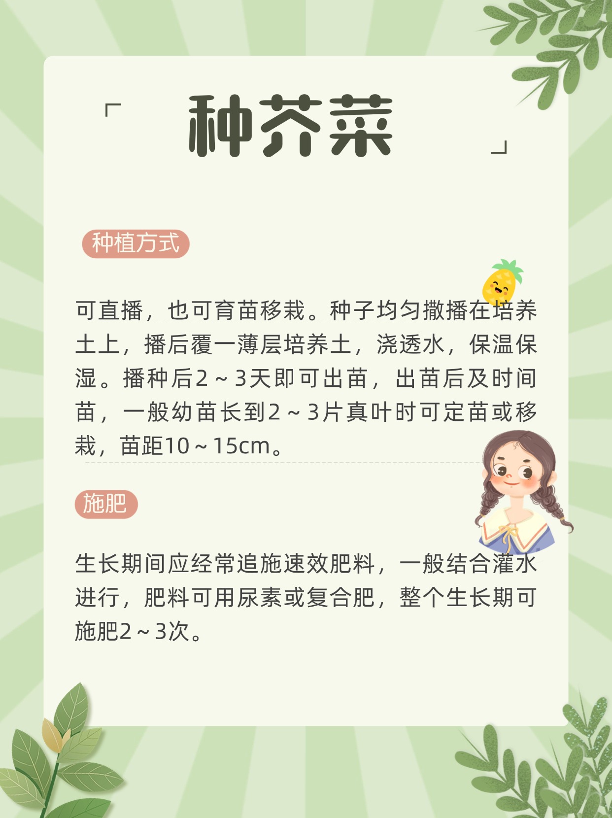 芥菜是在我国各地广泛芥菜，我国重要的经济作物