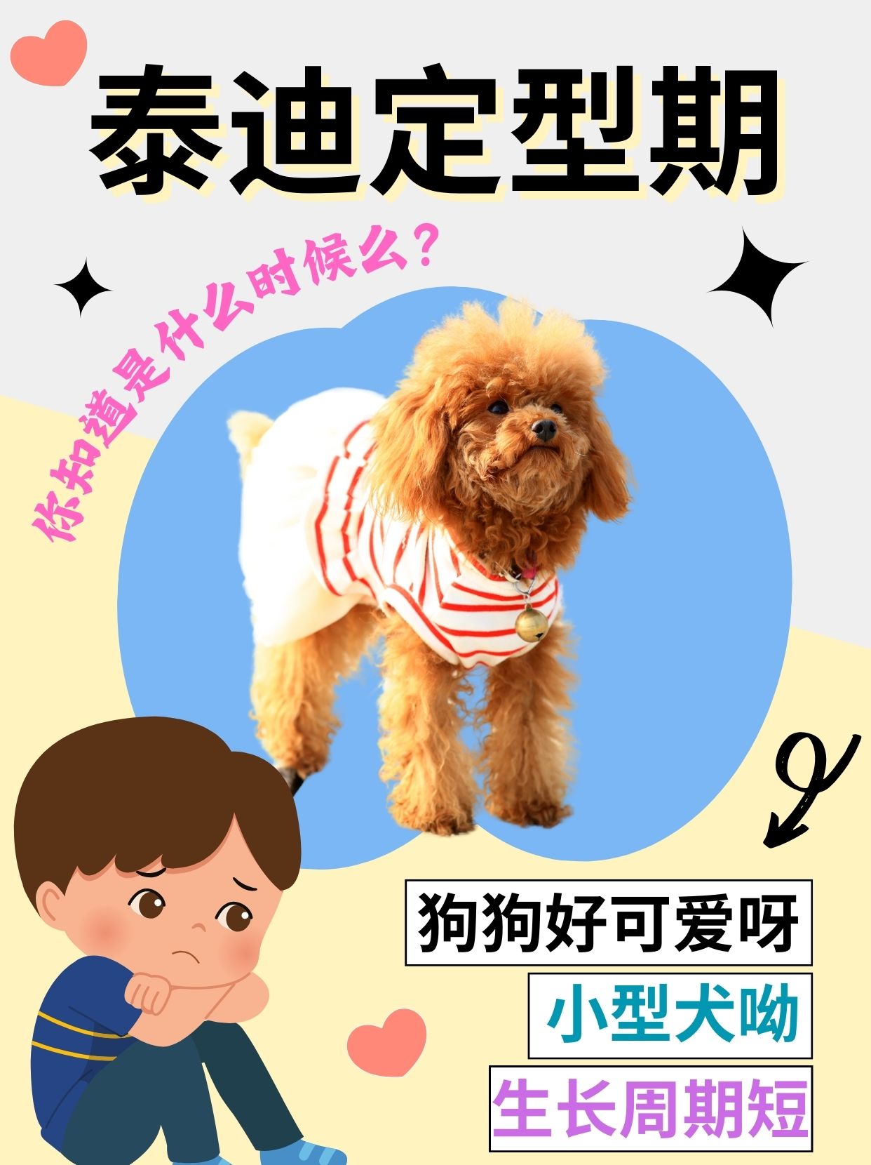 怎么进入狗狗的身体甲探索如何进入狗狗的身体甲