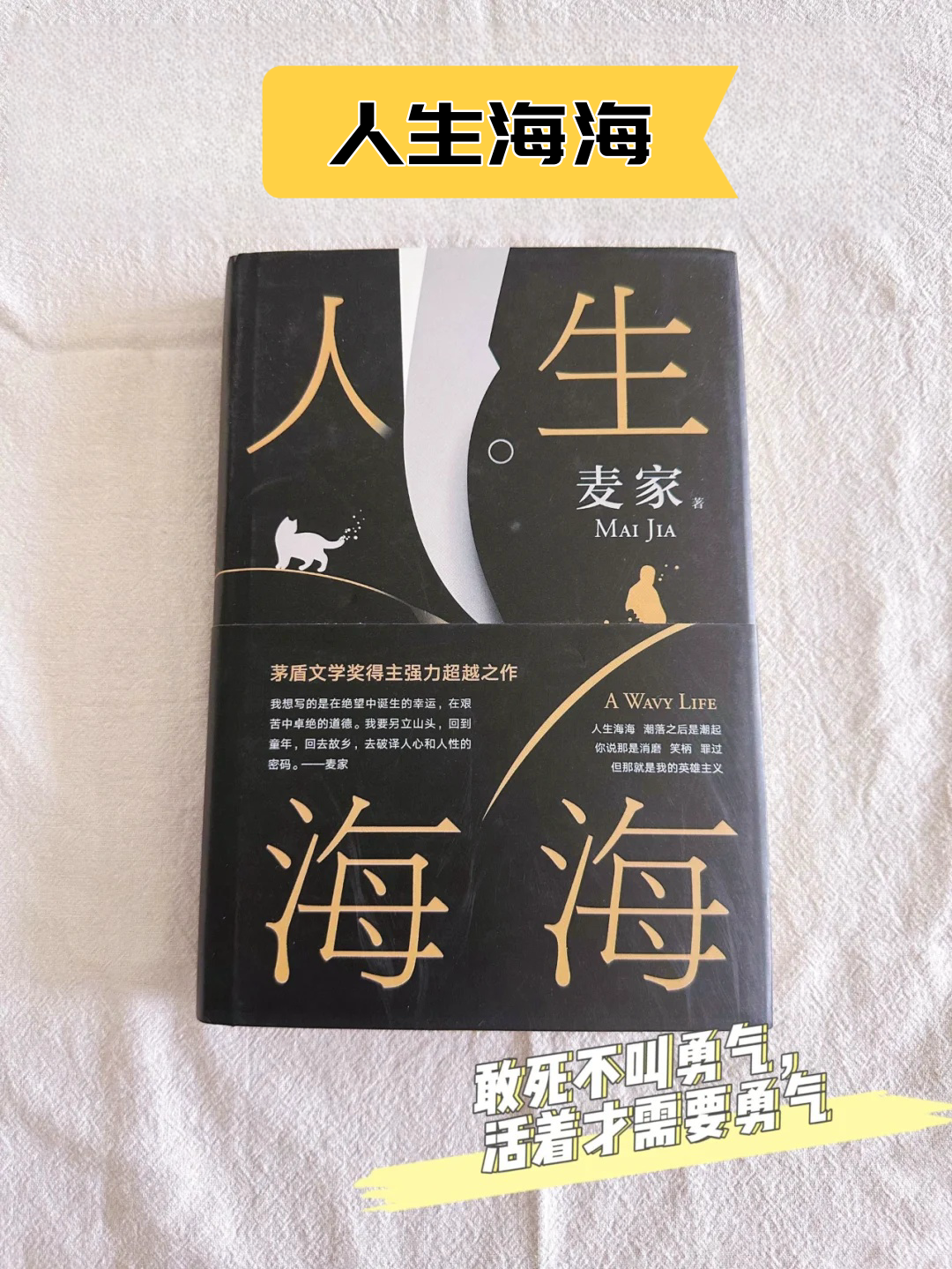 当书网手机版，便捷的txt小说下载体验-第1张图片