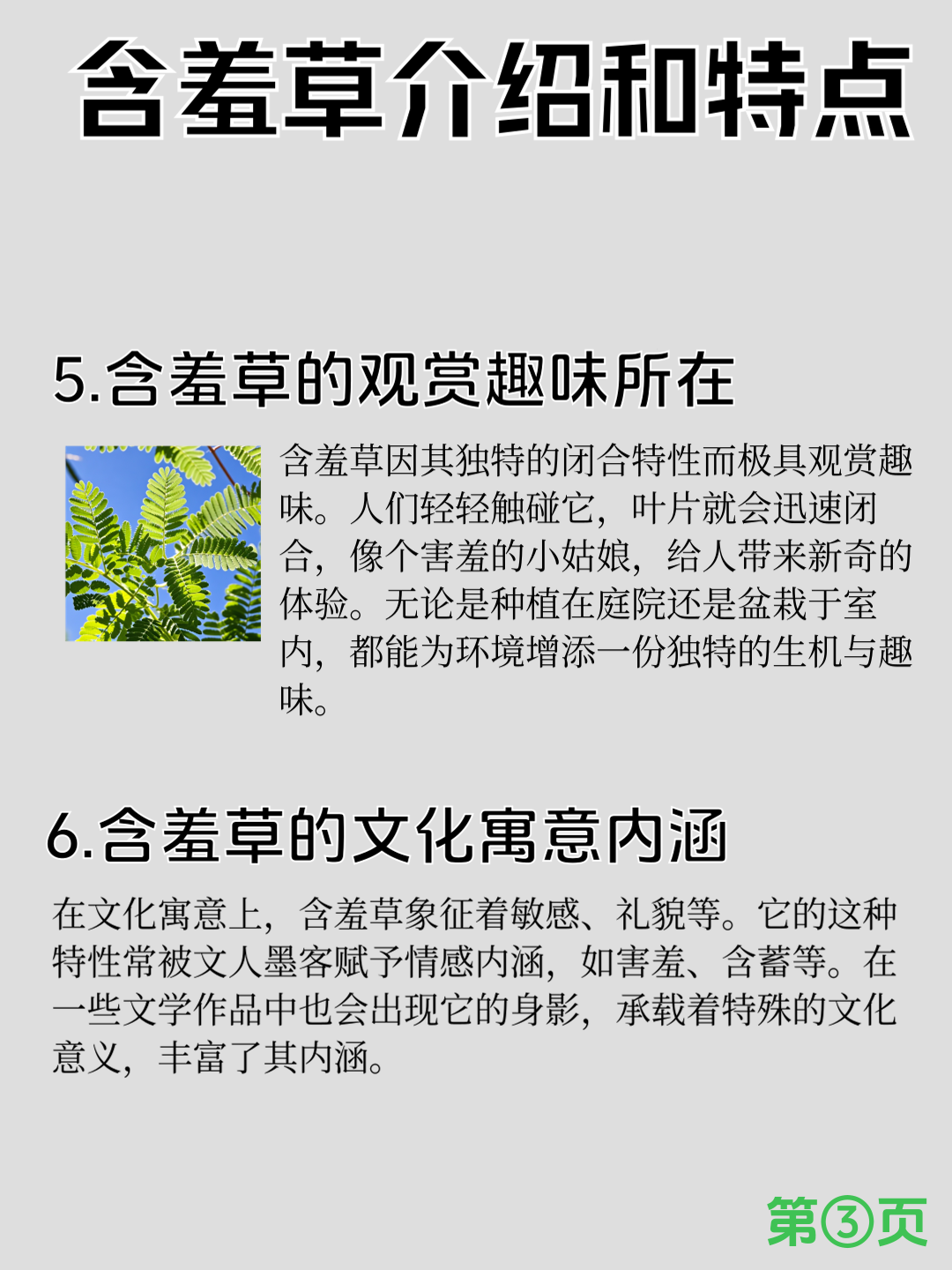 含羞草实验室如何免费进入含羞草实验室，探索与爱豆的奇妙邂逅