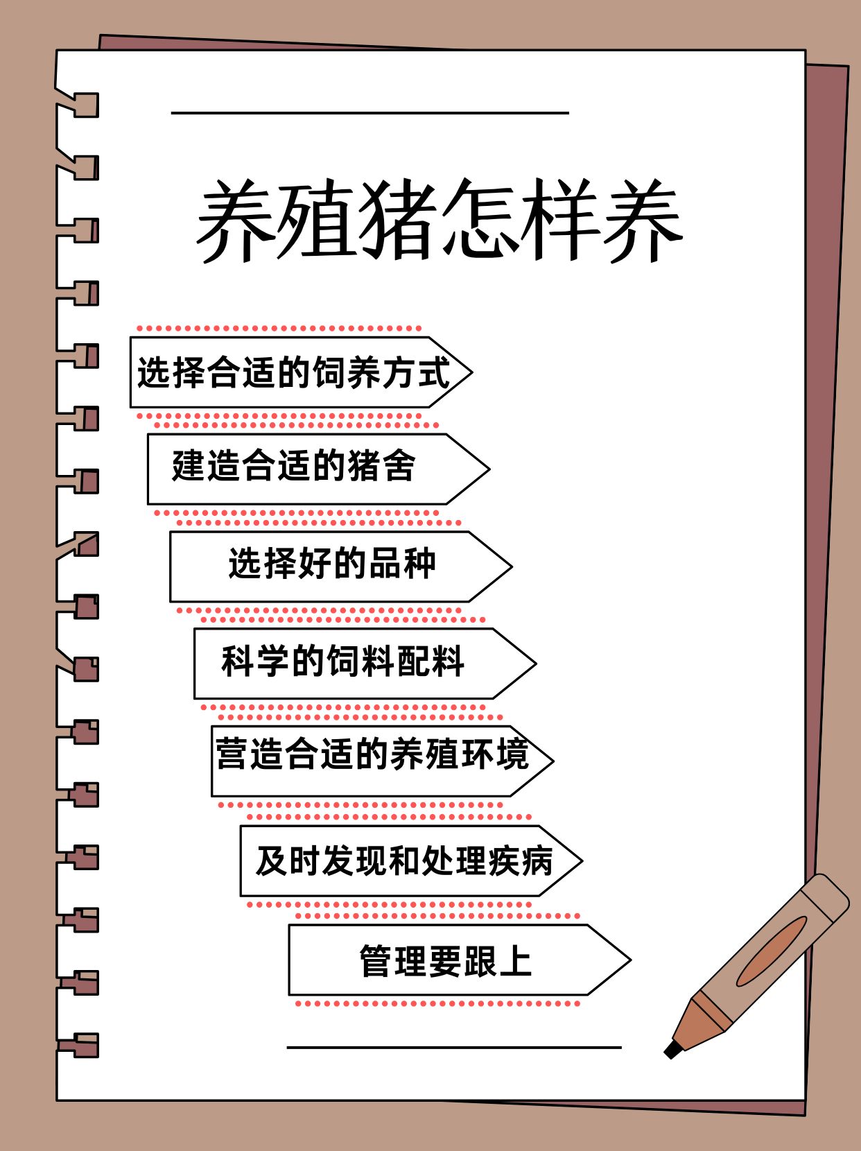 女人与公豬交交女性与动物关系探讨，公豬交交现象的伦理与科学分析