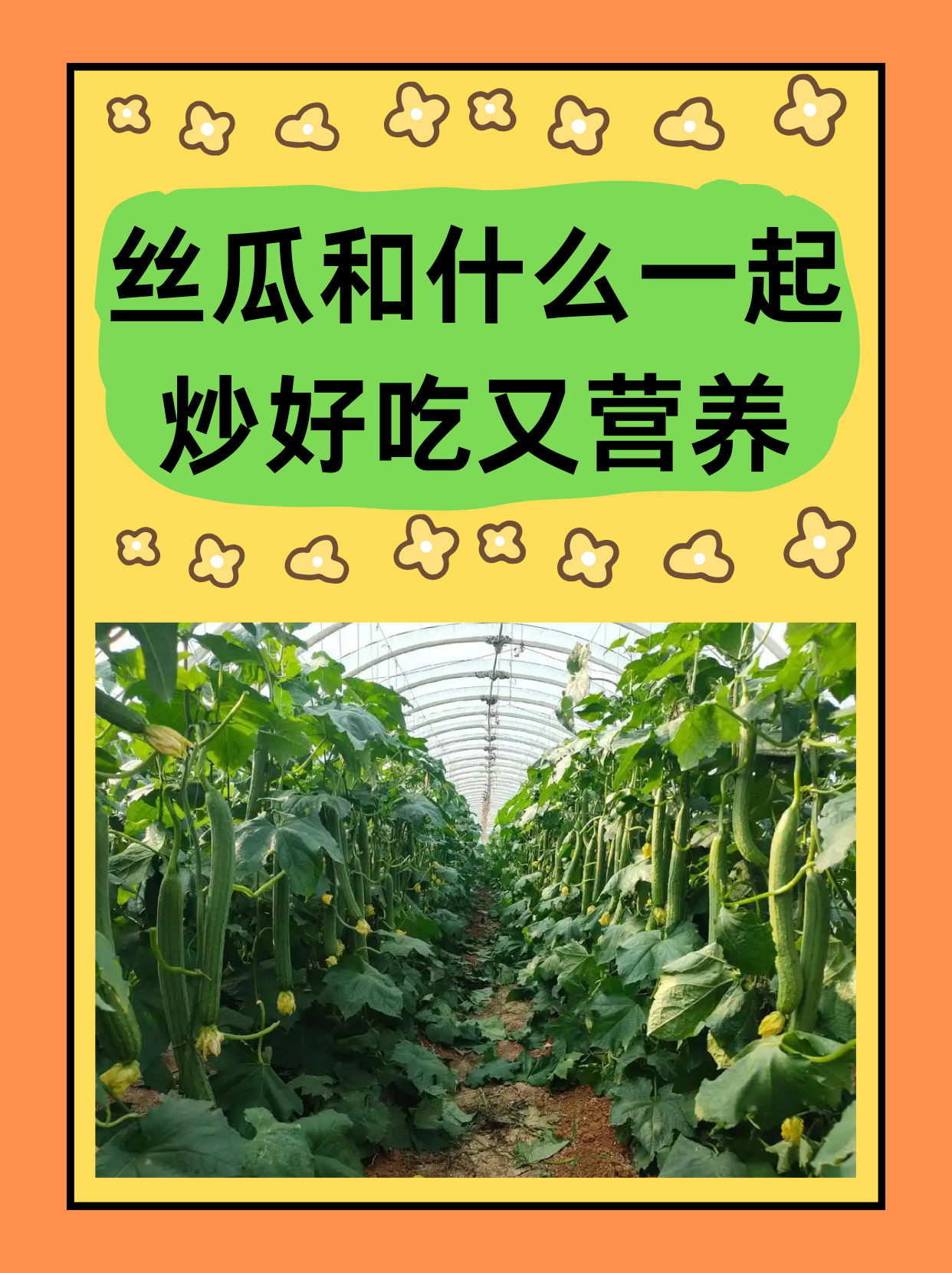 榴莲秋葵丝瓜向日葵app榴莲秋葵与花之盛宴，向日葵、丝瓜、黄瓜与蕾丝的交织-第2张图片