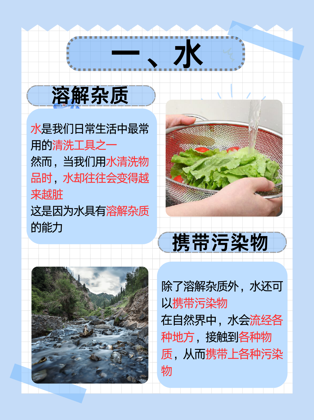 探索神秘而独特的文化现象——selangwang
