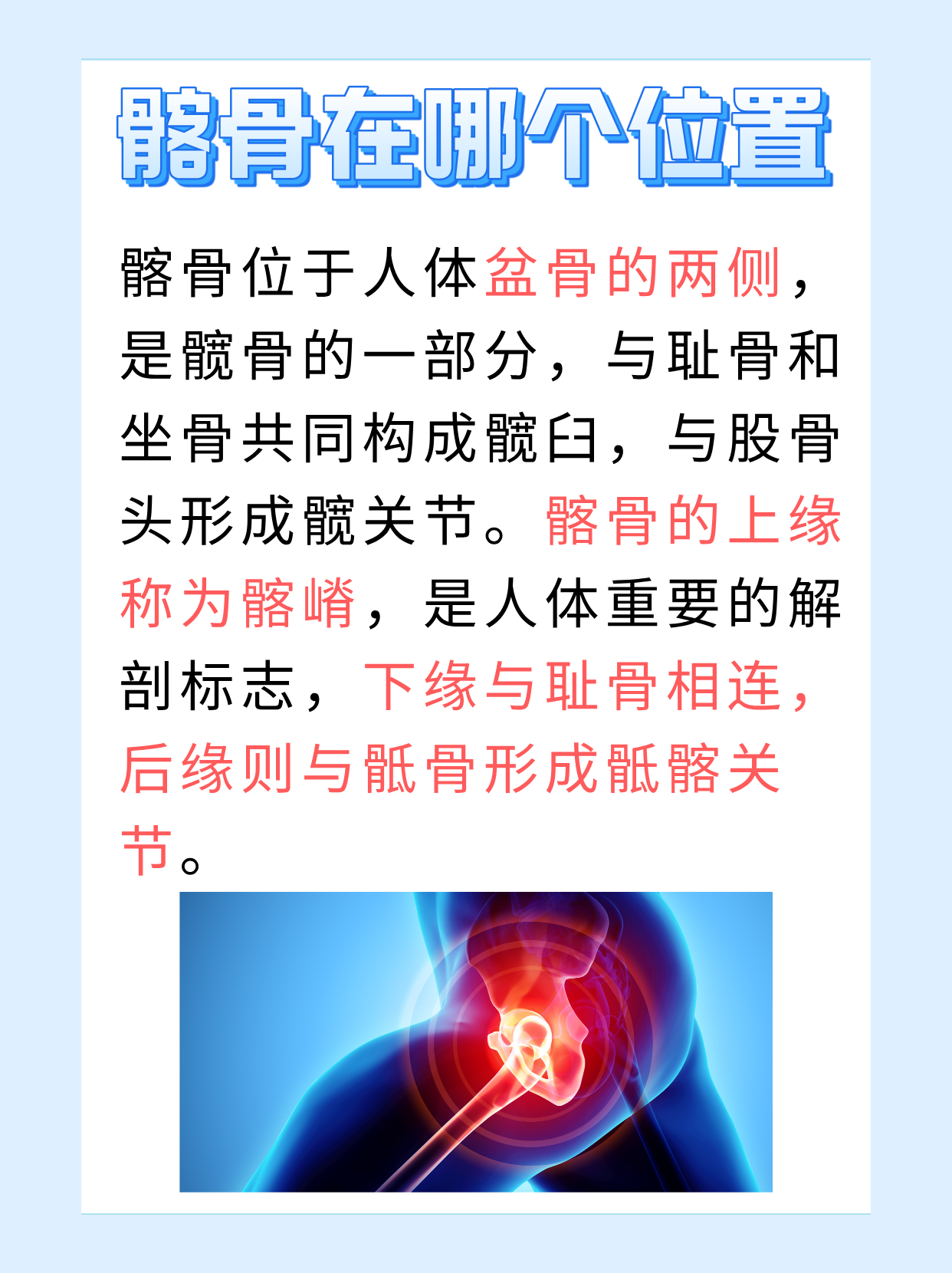 季玥人体，探索人体奥秘的深度之旅