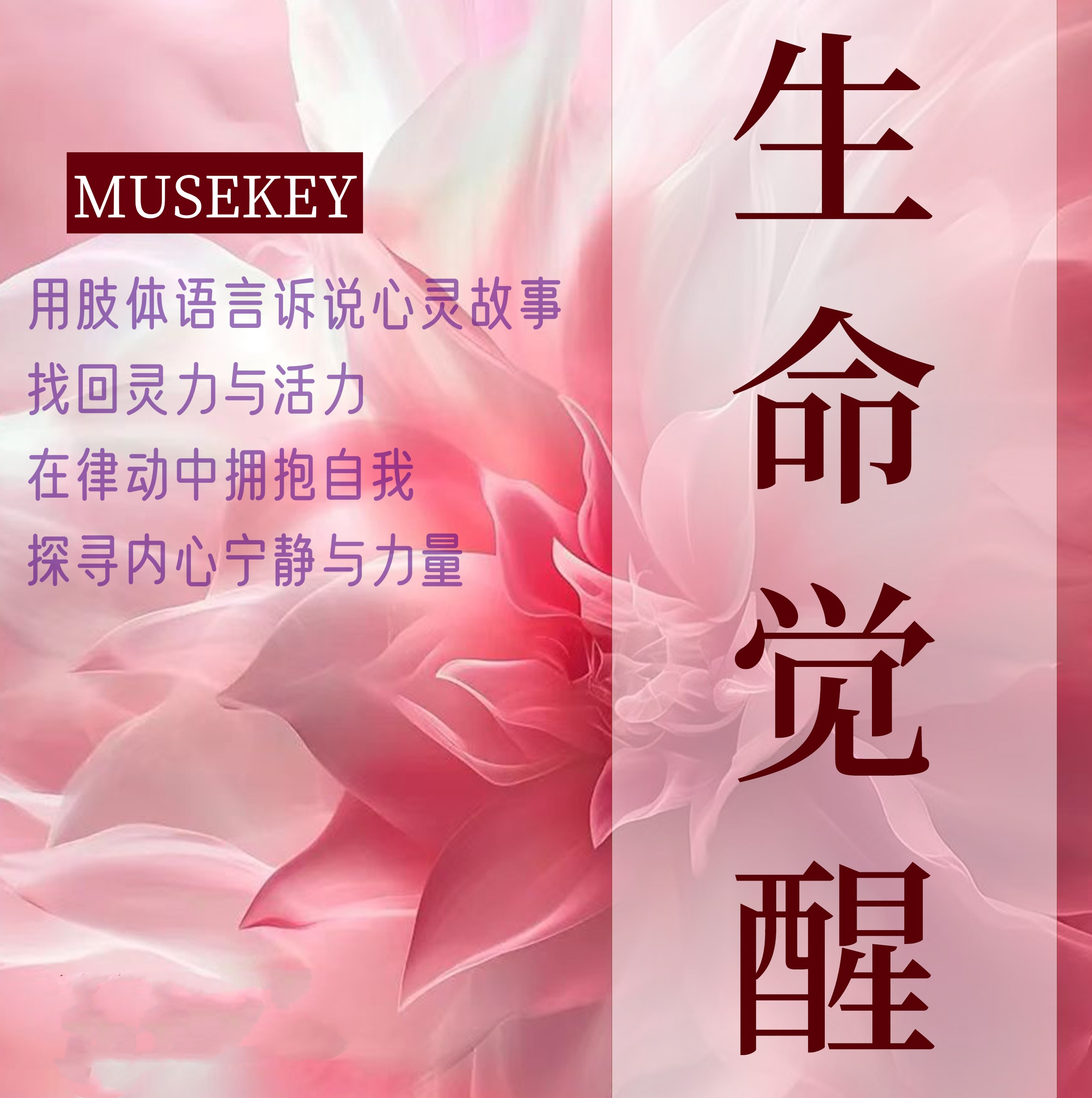 深度探索，差差差视频的30分钟无掩盖观察-第1张图片