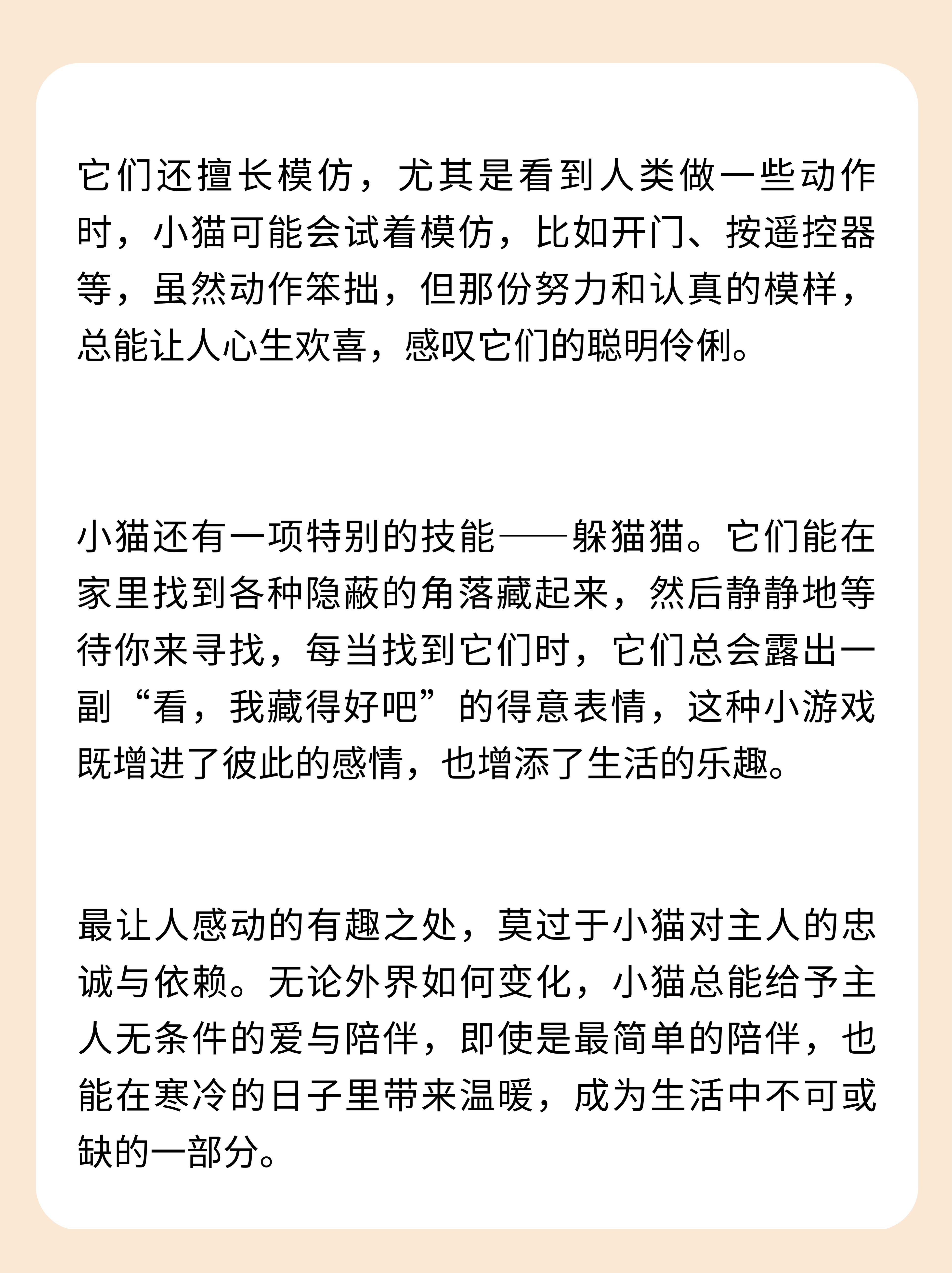 猫咪，灵动之宠的魅力与故事-第3张图片