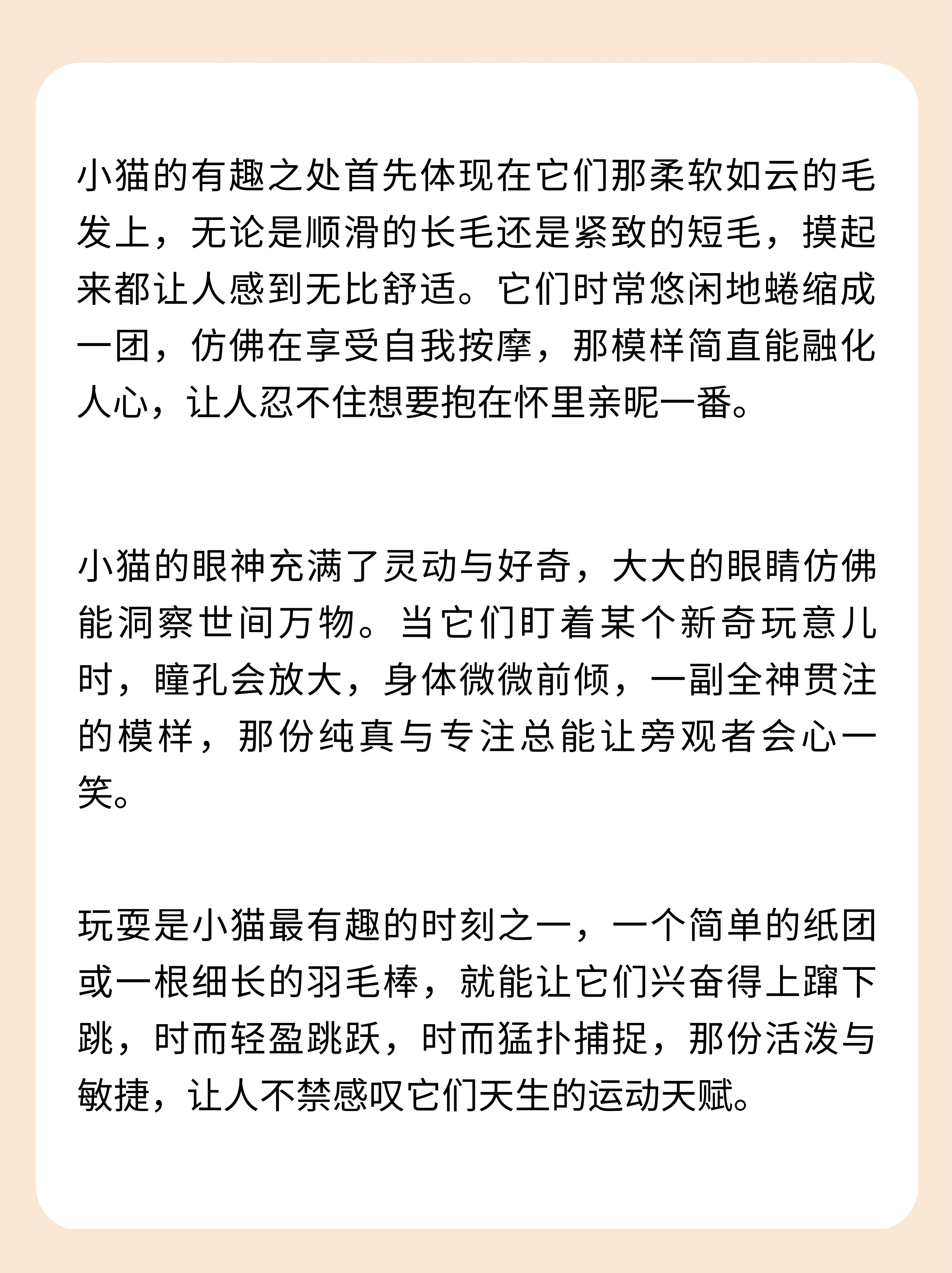 猫咪，灵动之宠的魅力与故事-第2张图片