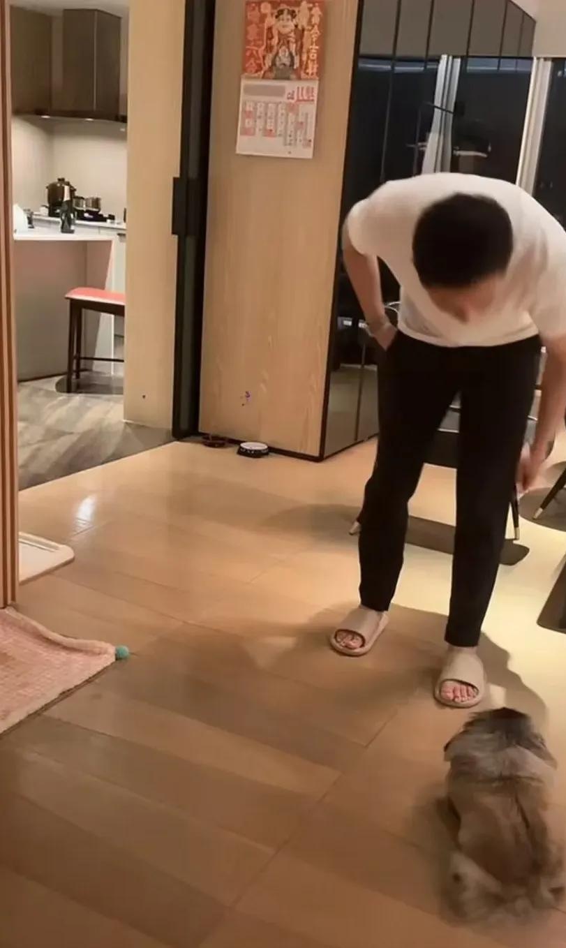 狗狗东西在我里面拔出不来了还能活吗意外遭遇，狗狗玩具误入体内，如何应对？-第2张图片
