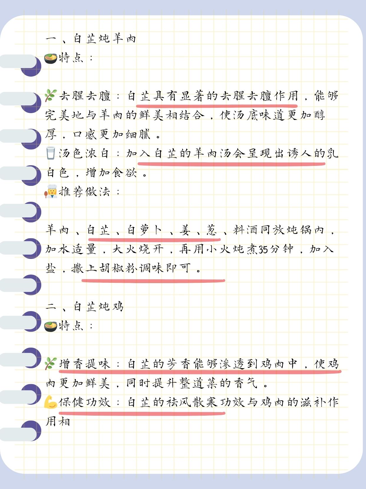 小东西你喷的到处都是白芷什么意思小东西的奇妙力量——白芷的白色世界-第3张图片