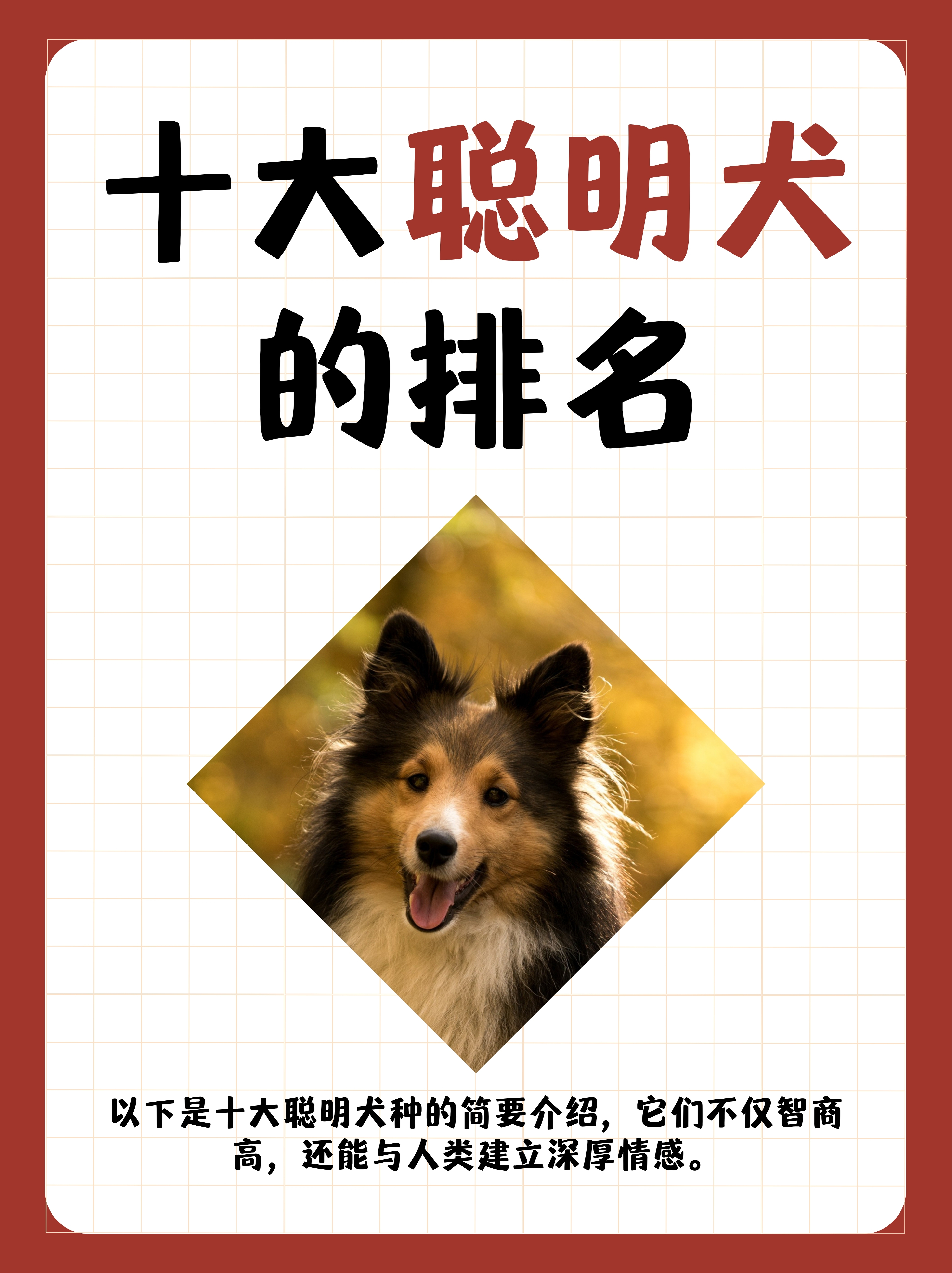 男朋友叫我握着他那个握着他的力量——我们的情感纽带