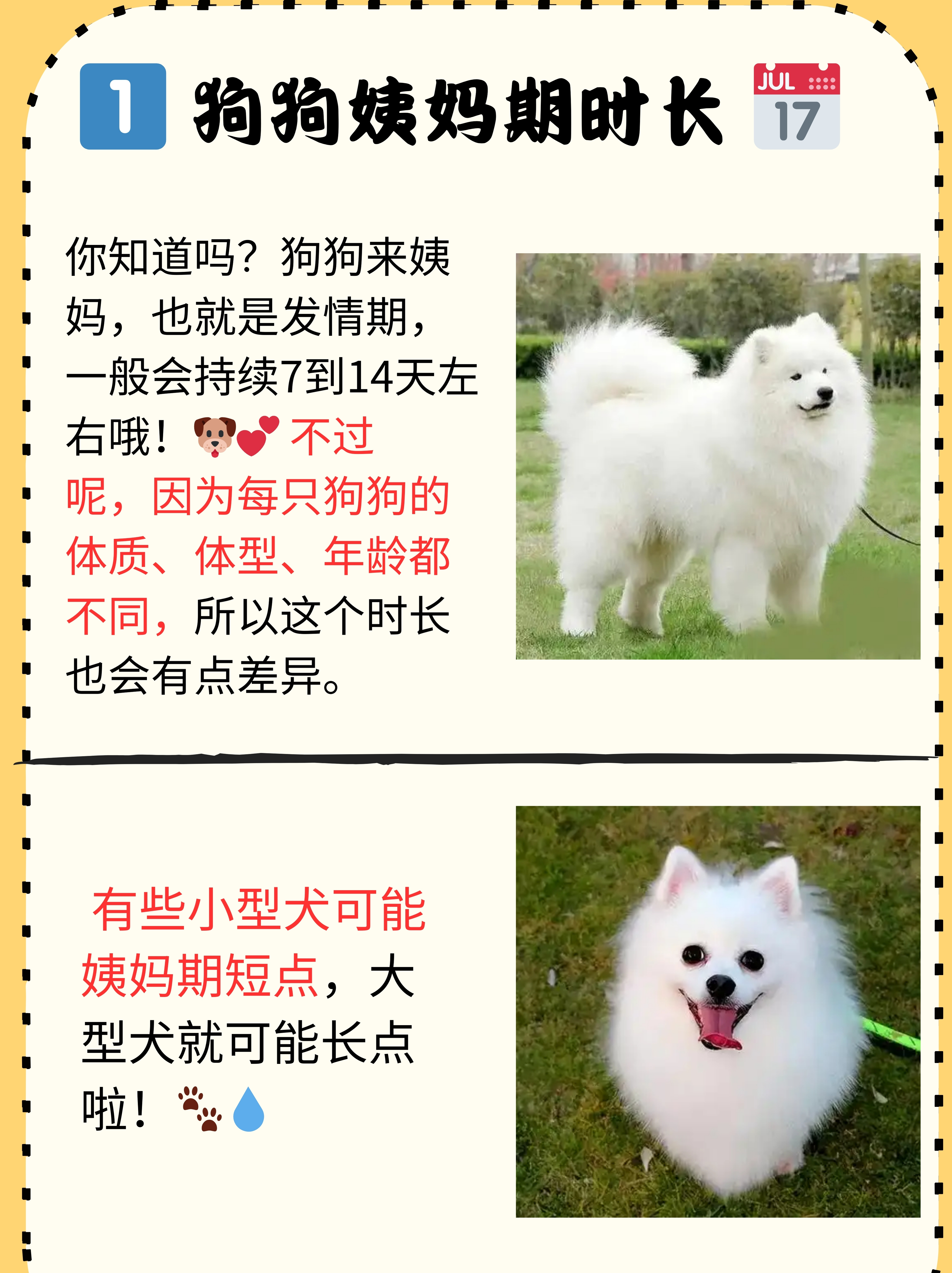 小东西几天没做想了吗在线小东西的魅力，几天不见，思念如潮-第3张图片