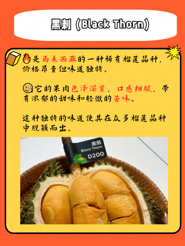 榴莲视频下载安装，无限观看体验的探索