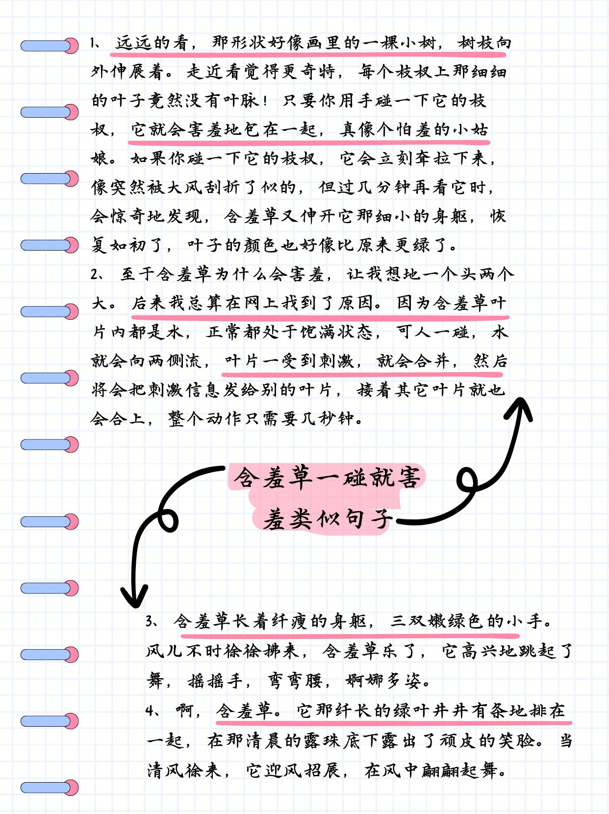 含羞草，自然界的奇妙现象在线免费观看指南-第3张图片