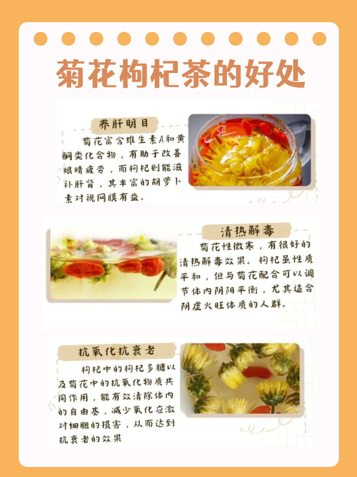 菊花哥枸杞子一起泡有什么效果菊花哥的诗意人生-第3张图片
