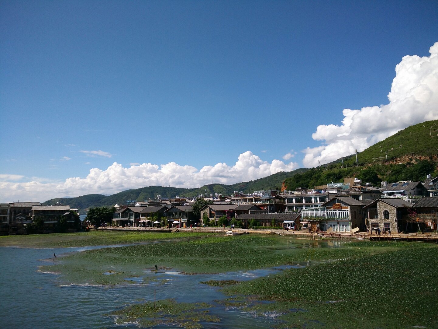 田间欢田间欢，乡村生活的美好与喜悦-第1张图片