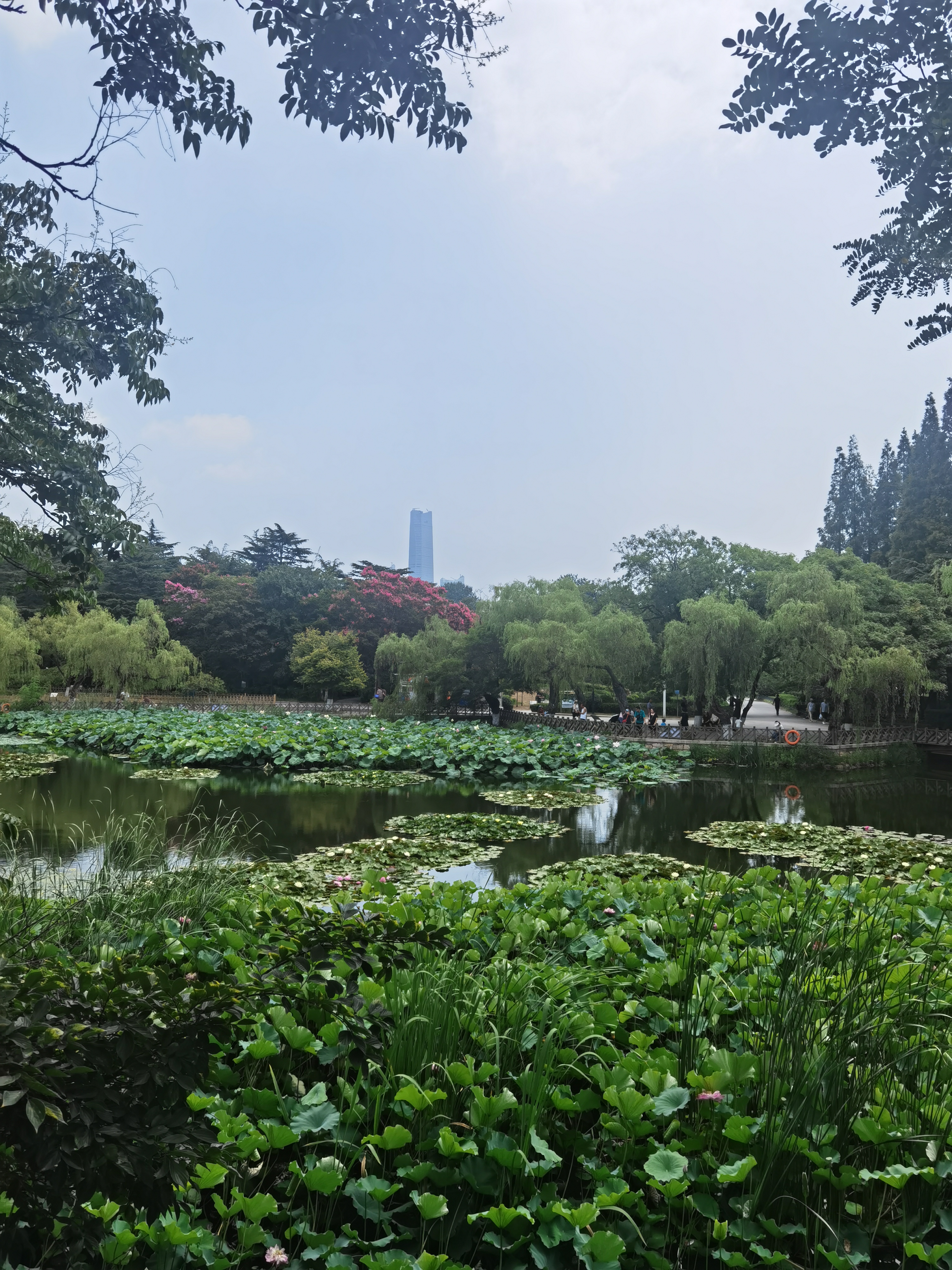 自我修炼，把自己训练成小喷泉-第2张图片