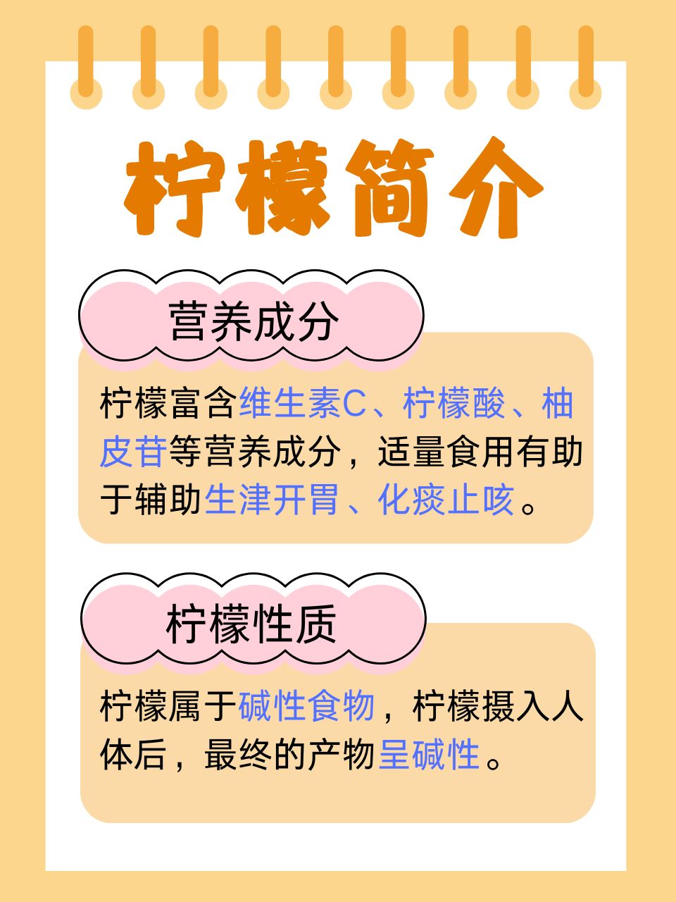多肉植物与汽车的奇妙世界——1V4的独特体验-第3张图片