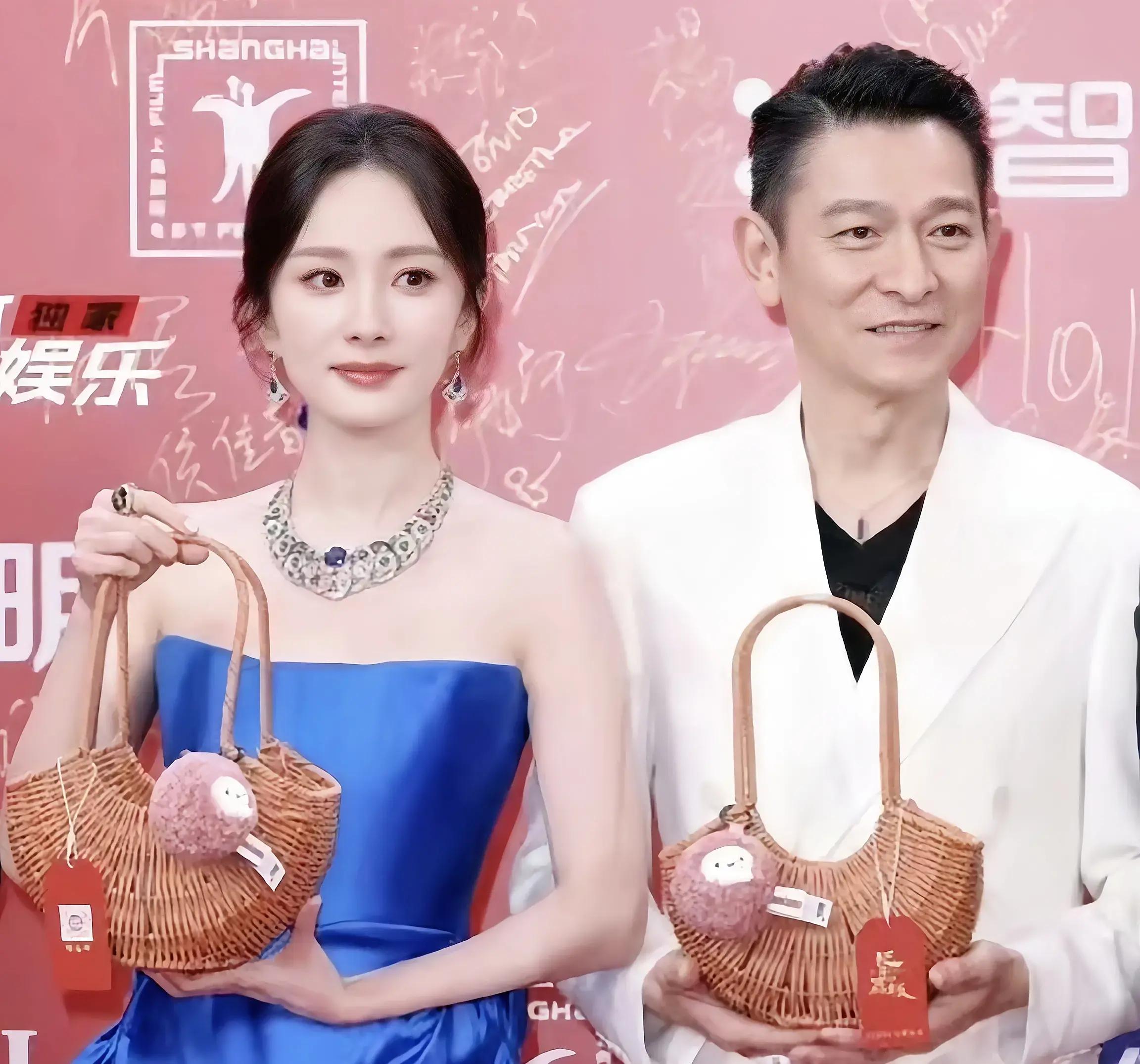 杨幂qvod杨幂与Qvod，星光璀璨的影视合作与网络热议-第3张图片