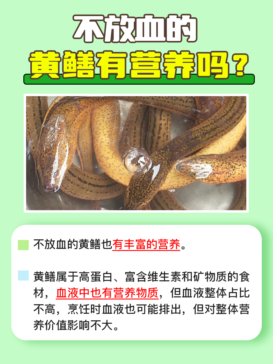 主播的独特体验，探索黄鳝的魅力-第2张图片