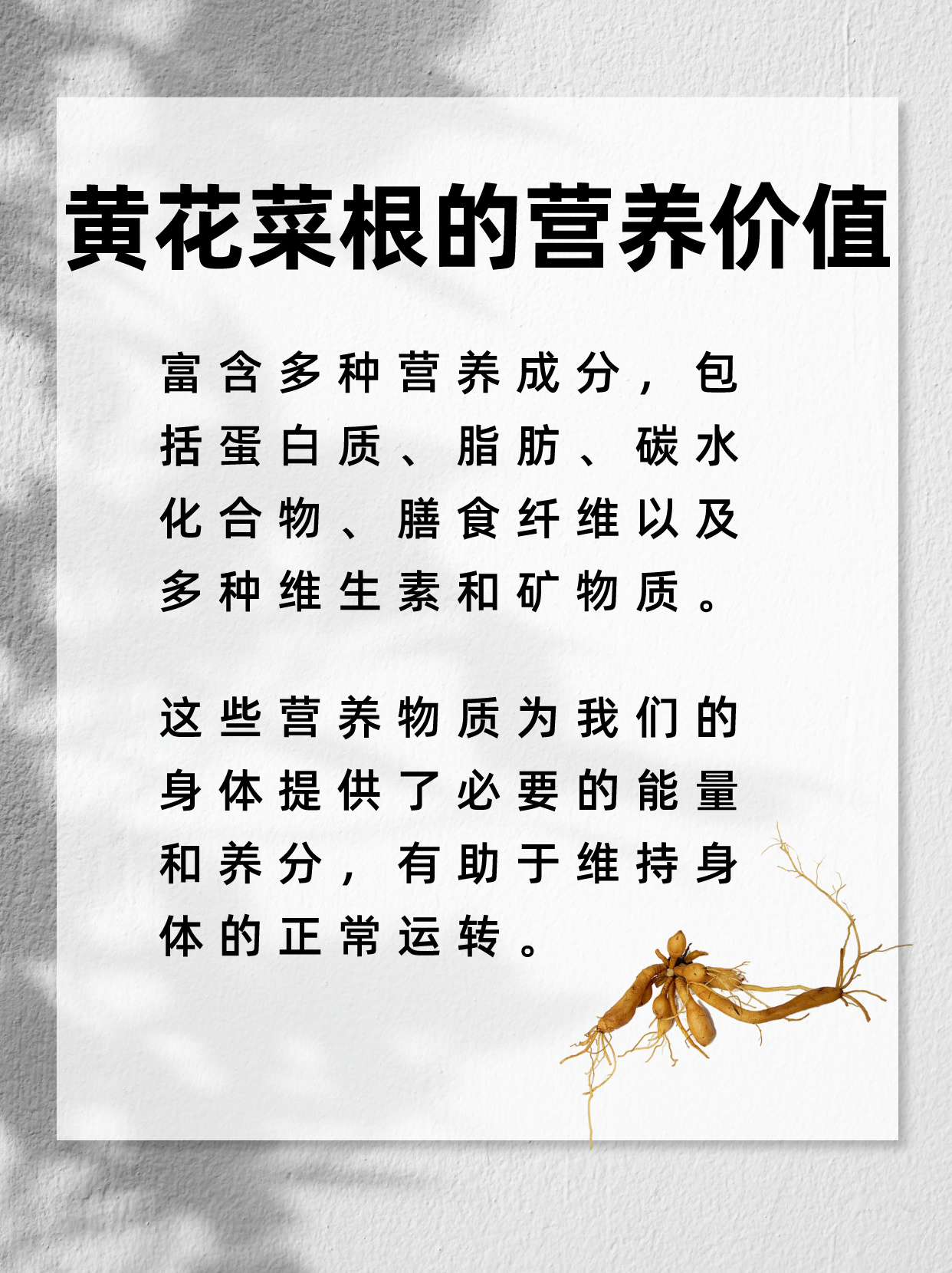 忘忧草www中文资源忘忧草的神奇与www中文资源-第2张图片