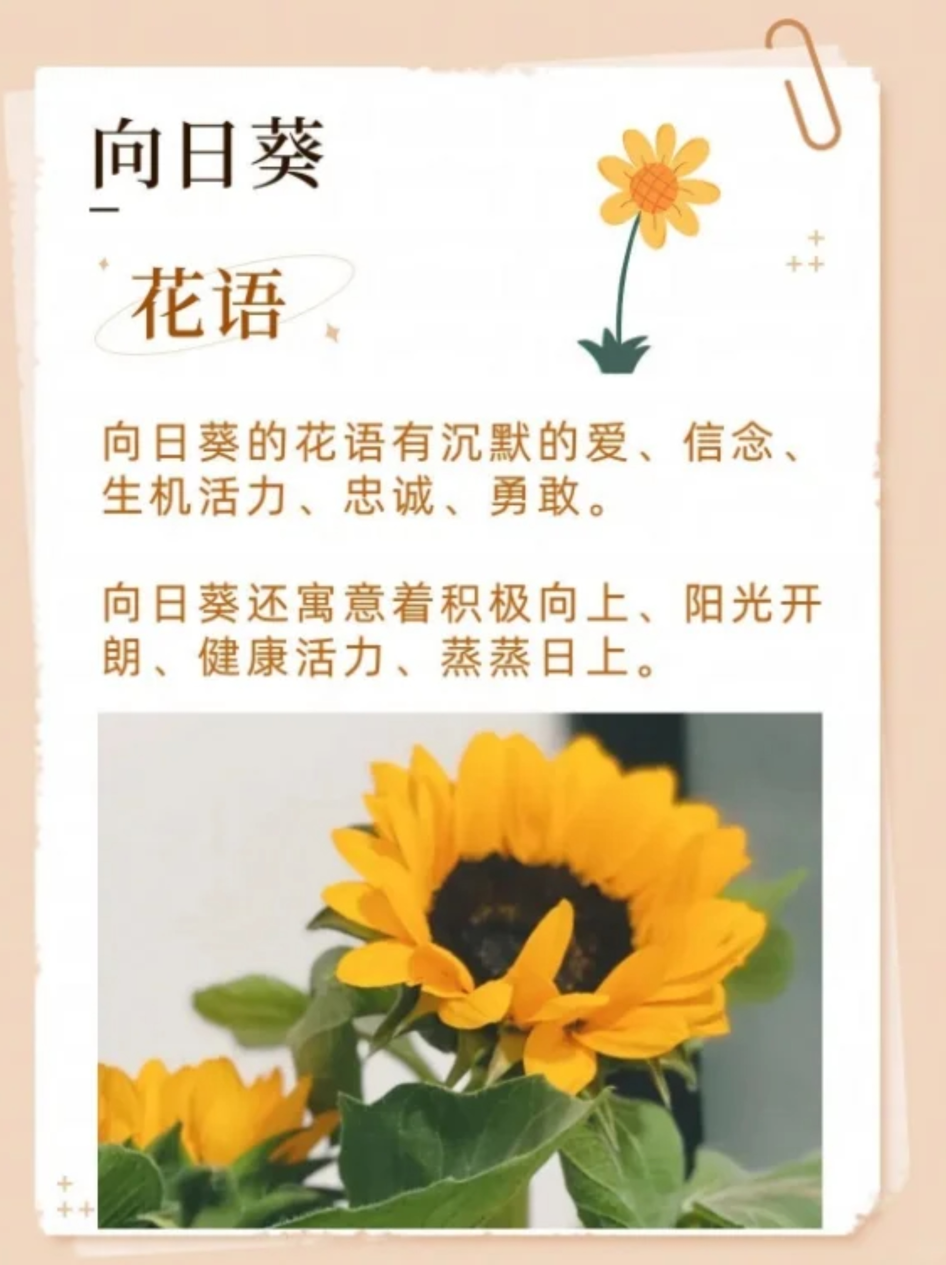 年轻的女教师——照亮学生人生之路的明灯-第2张图片