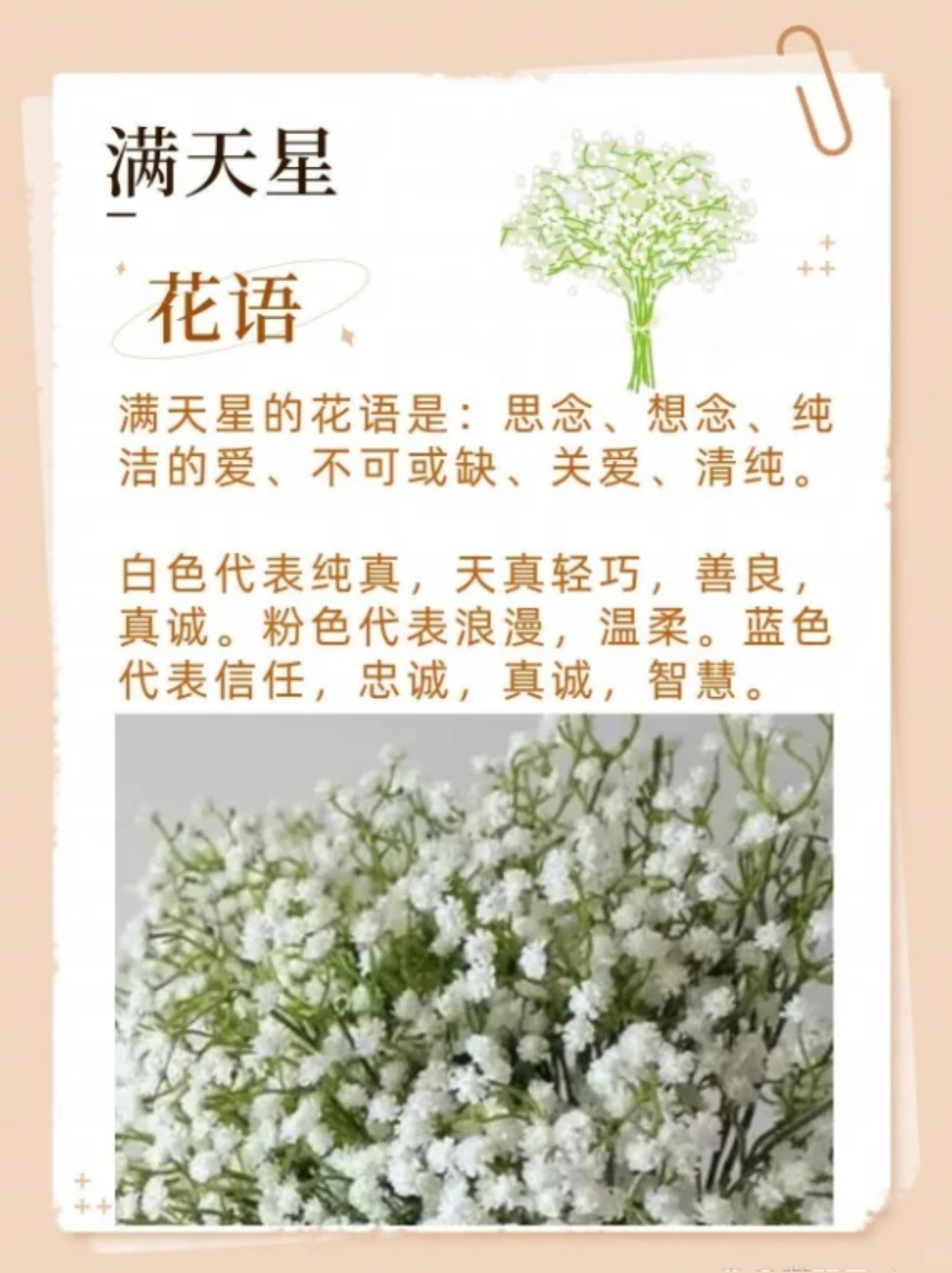 老师真嫩真紧好爽20P师生间的情感交流与教育探讨-第2张图片