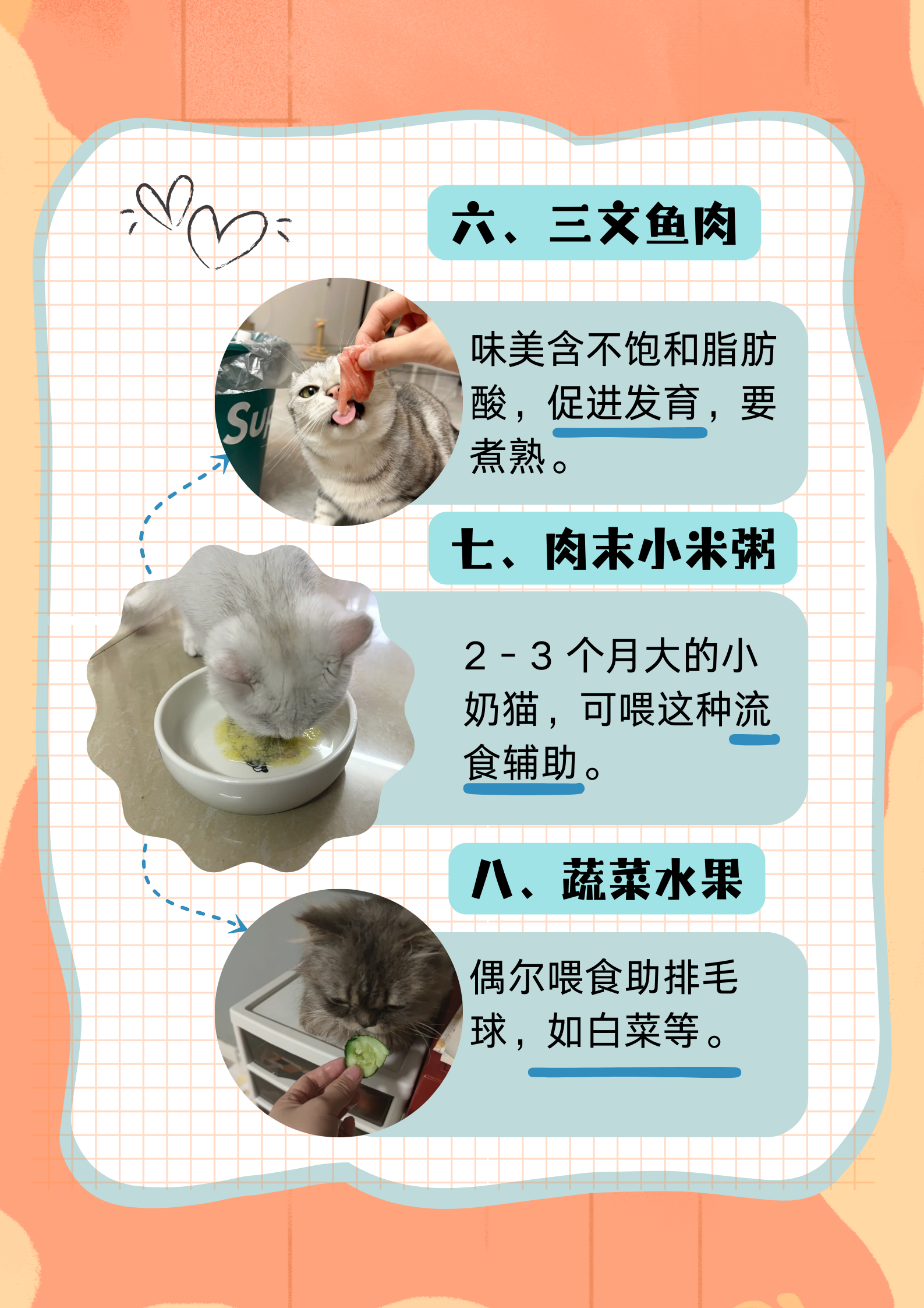 关于猫咪与免费人成软件下载的探讨