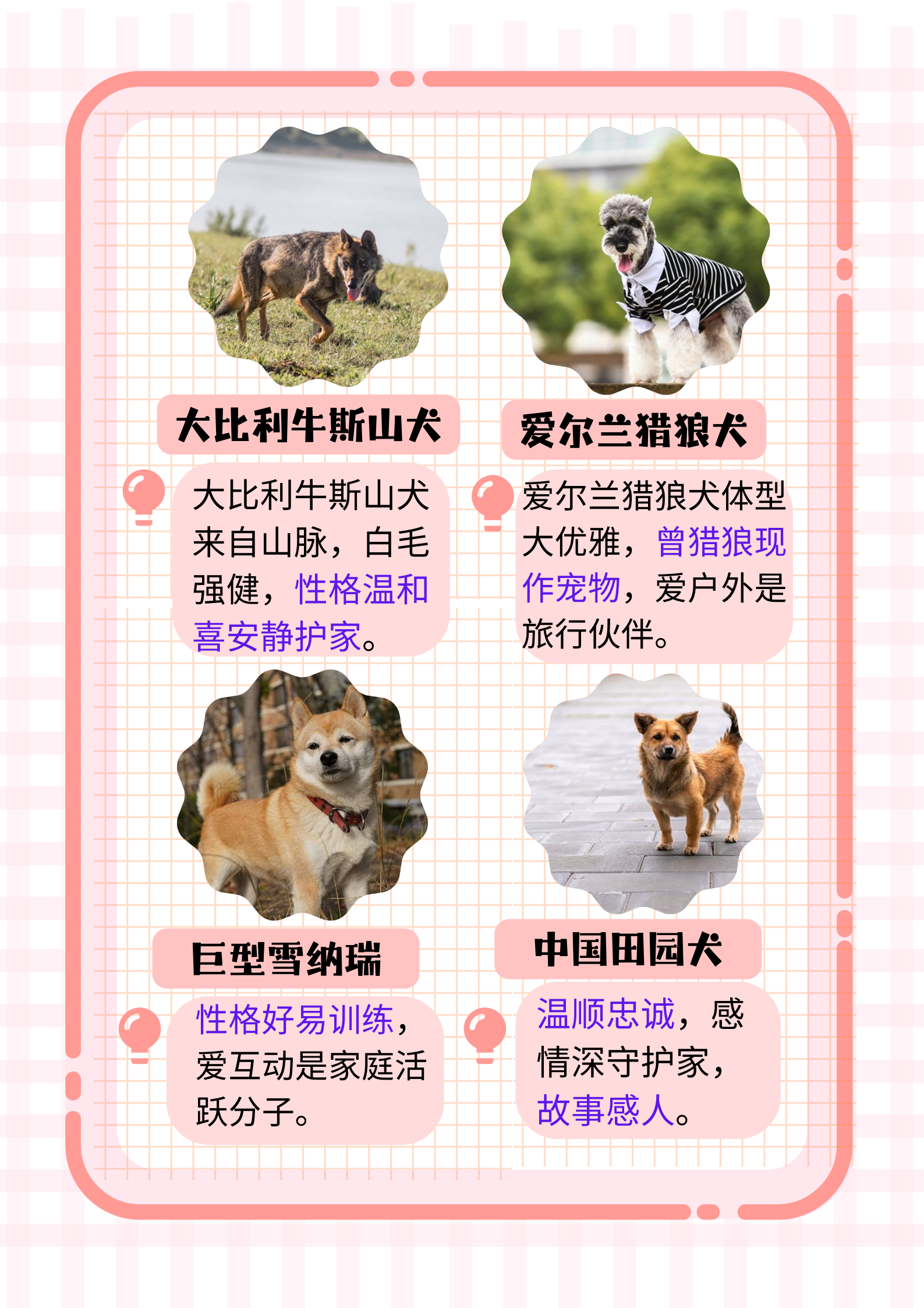 犬神御魂，神秘力量的守护者-第2张图片