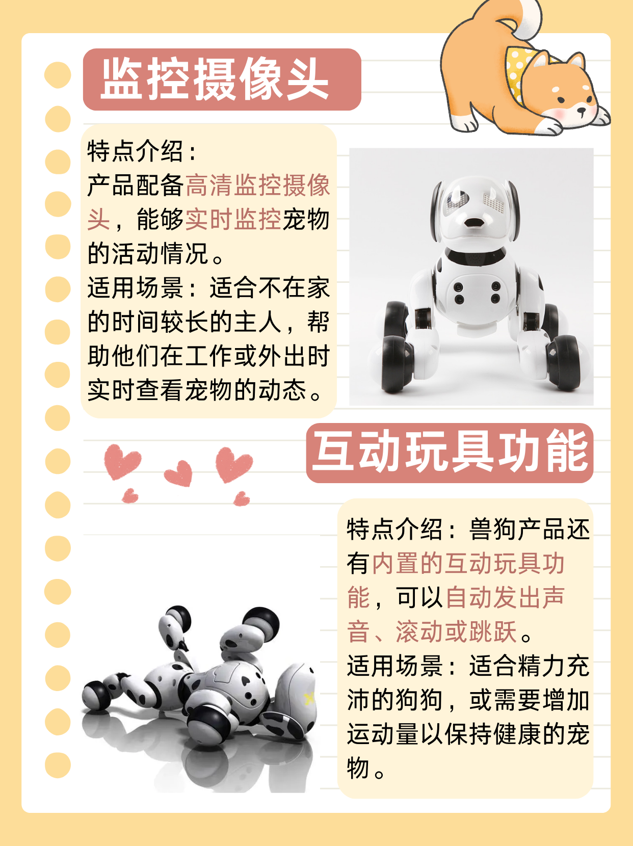 最新ZOOM与OKZOOM在线视频，重塑远程沟通与协作的未来