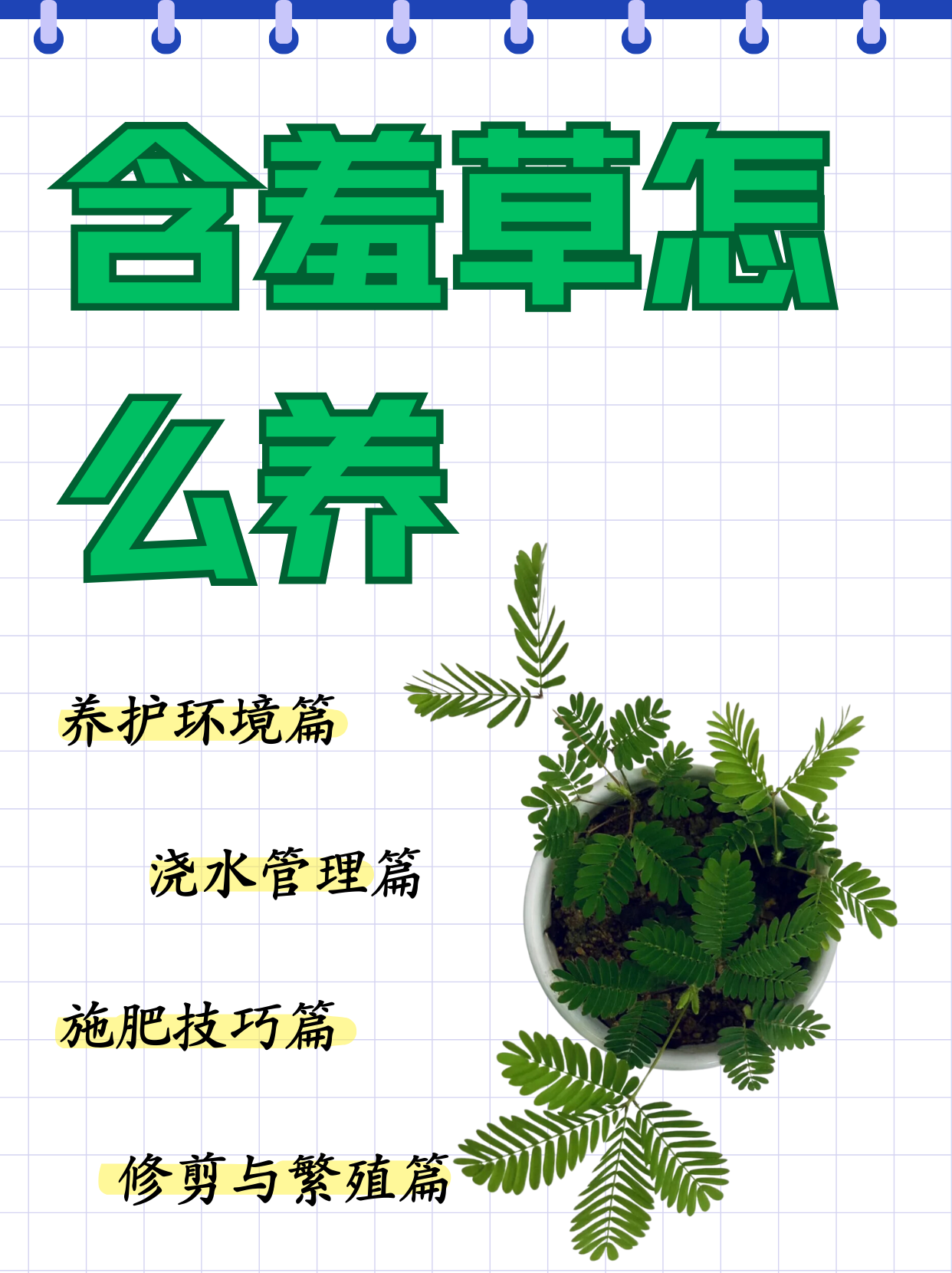 含羞草传媒每天免费三次IOS含羞草传媒，每日免费三次IOS体验
