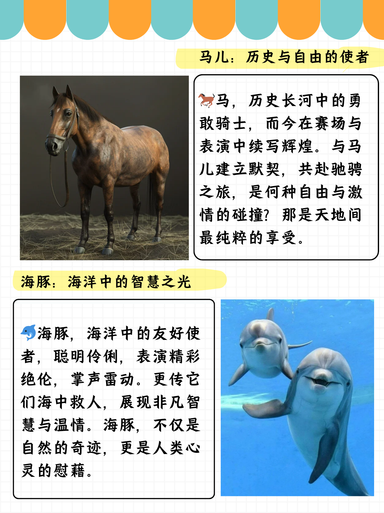 狗狗射速好烫太怕了春雨医生春雨医生，狗狗射速的困扰与应对-第2张图片