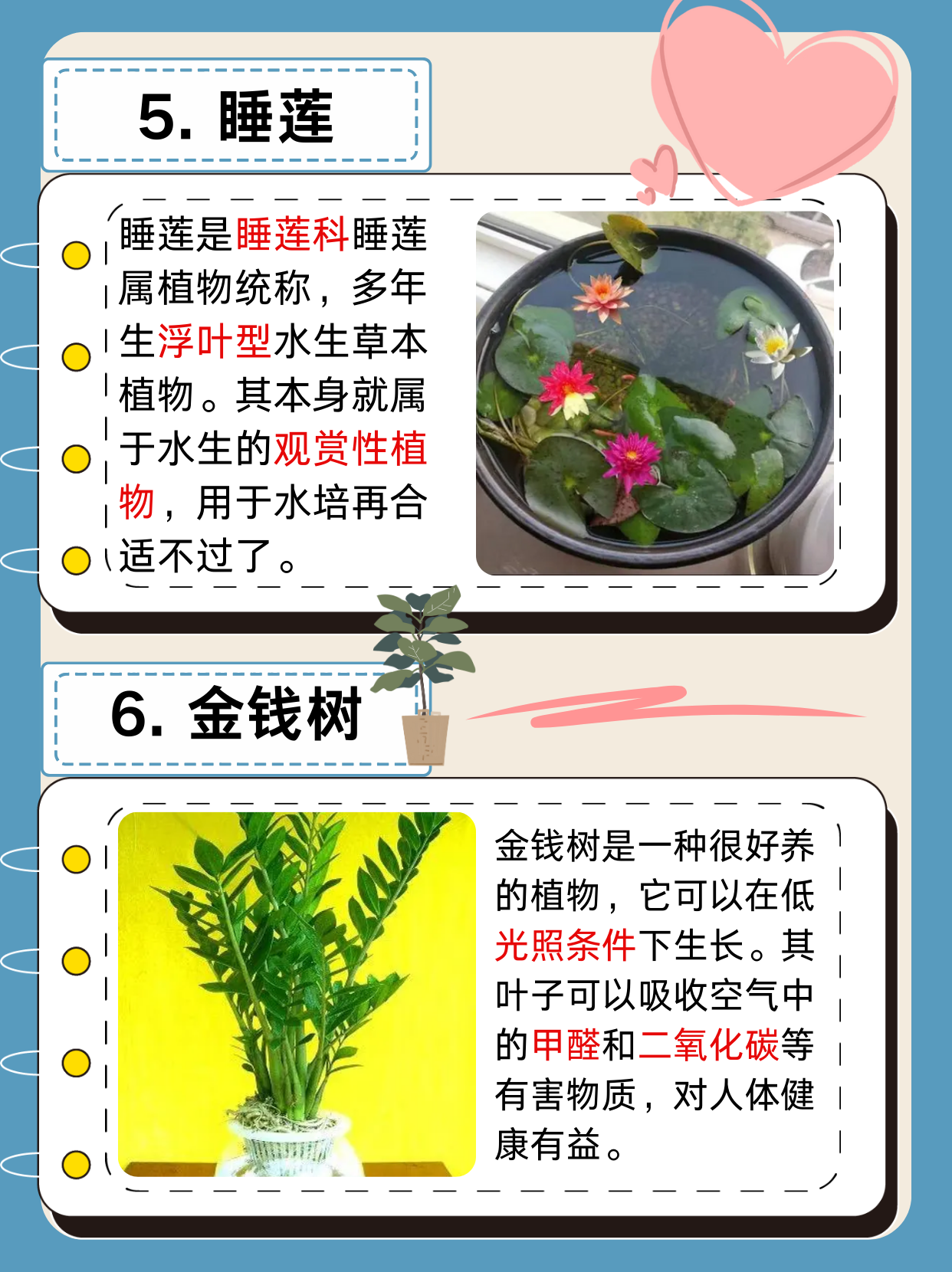锦鲤吸水，一种独特的自然现象与文化寓意-第1张图片