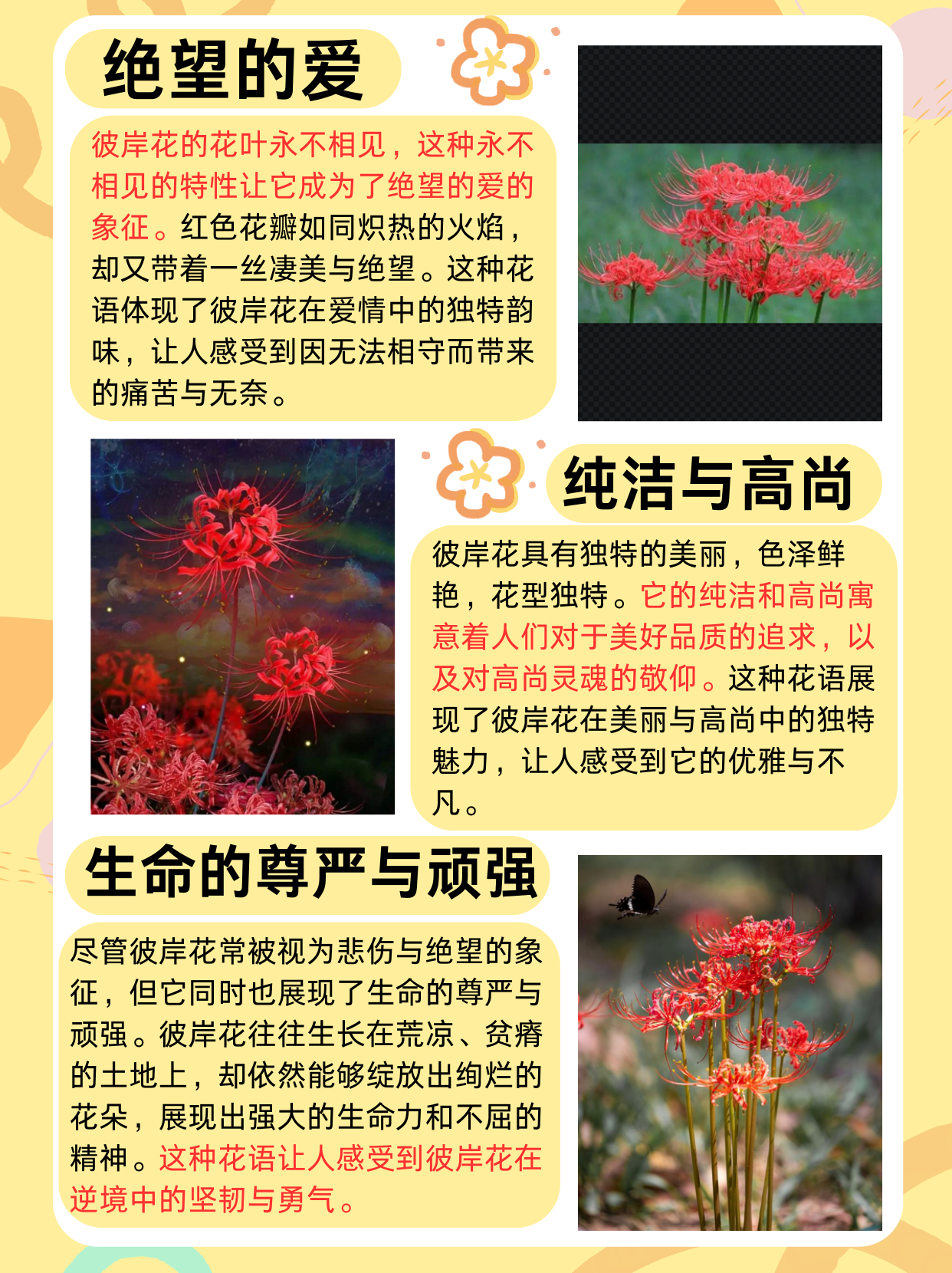 五月色彩缤纷，探索色五月第一门户的无限魅力-第3张图片