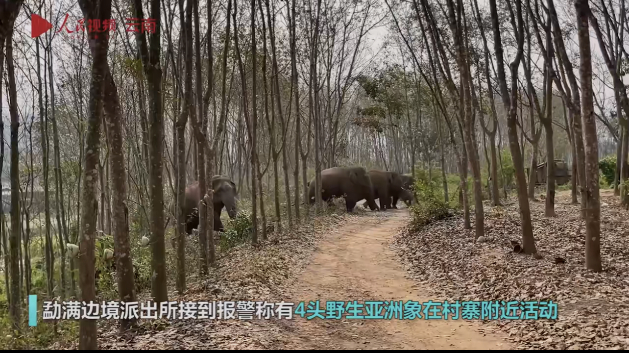 公交车上的意外事件，视频记录下的惊愕瞬间-第2张图片