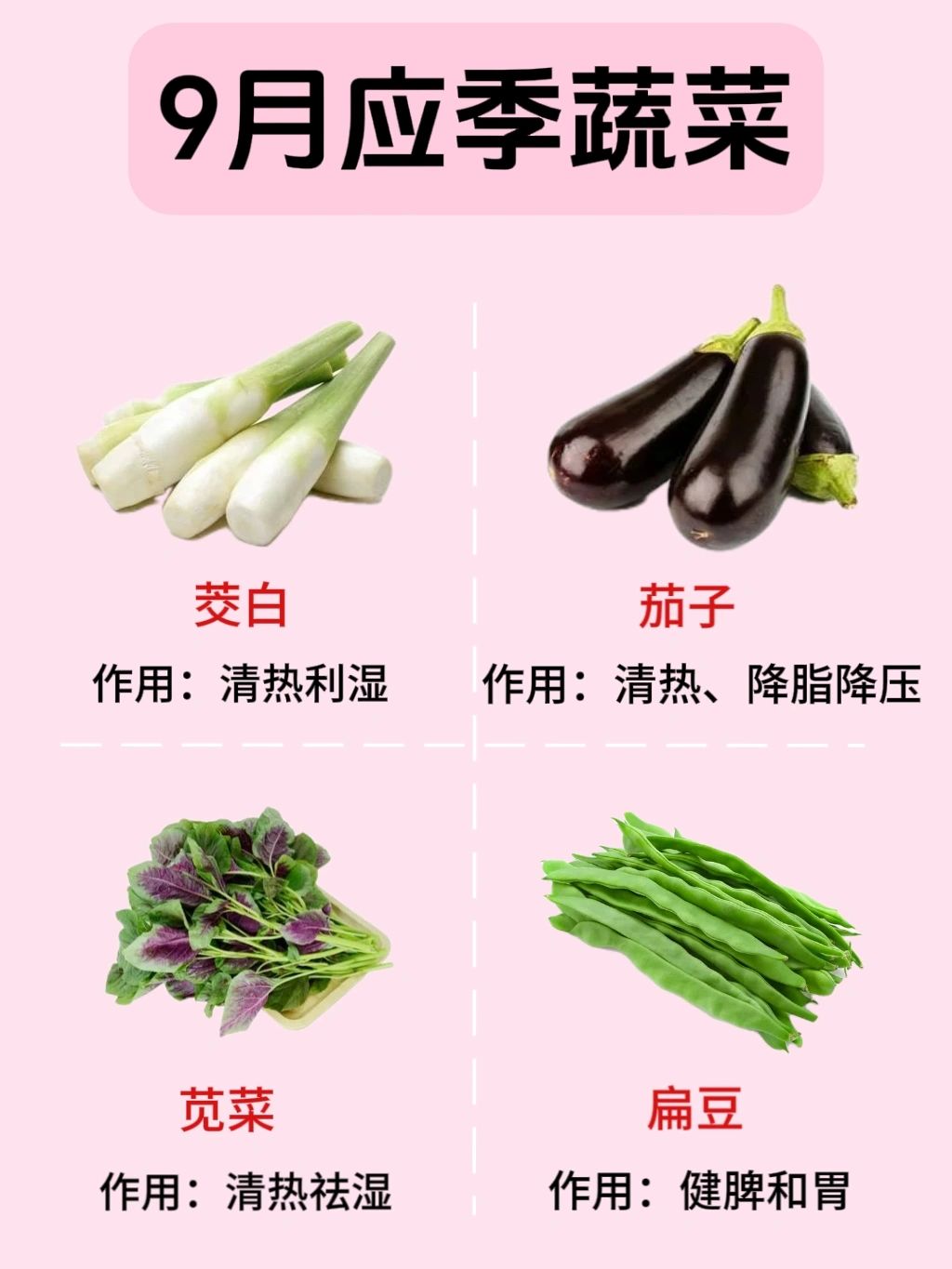 探索自然之美，青青草、向日葵、丝瓜、草莓、秋葵的官方下载与纯净资源获取-第3张图片
