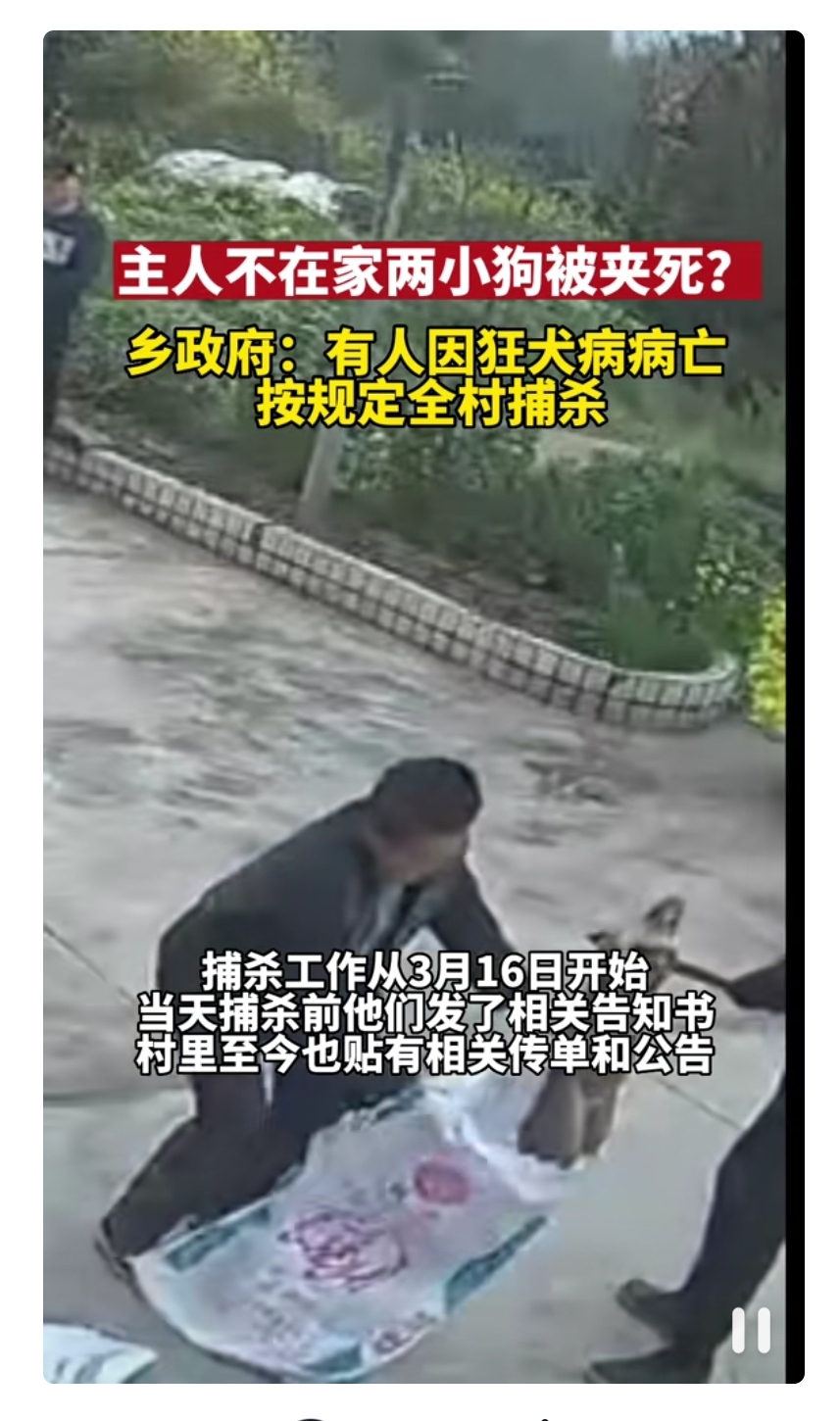 一人一狗卡了六个小时视频一人一狗卡六小时，一段难忘的视频经历-第3张图片