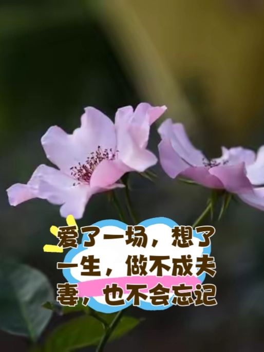 关于可不可以尝试短暂地放入一下的探讨-第2张图片