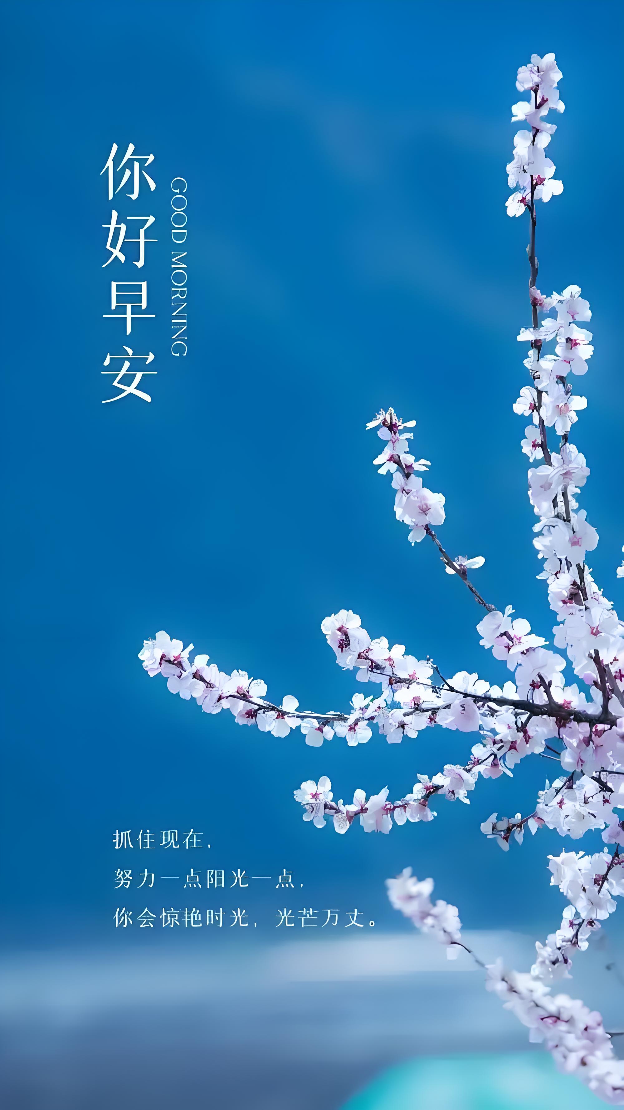 寻梦追忆寻梦追忆，时光的涟漪与心灵的旅程