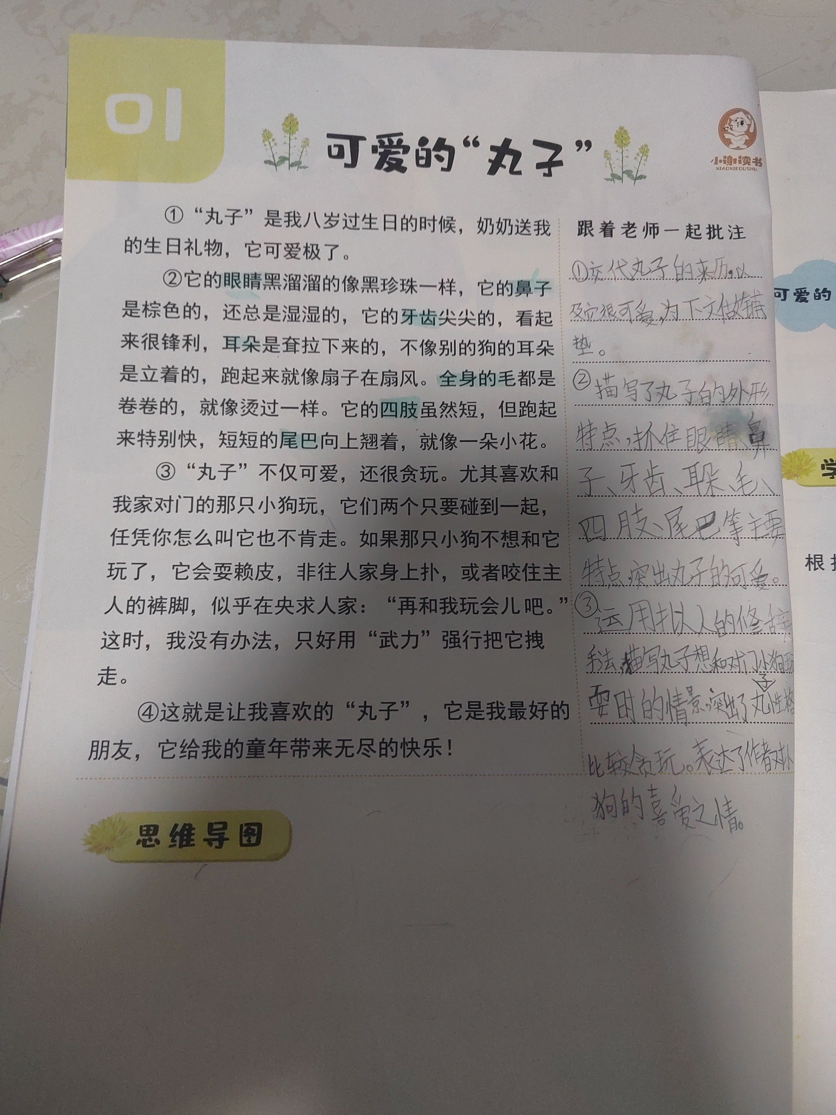 坐在硬邦邦的上面写作业作文硬邦邦之上的坚持——我的作业之旅-第3张图片