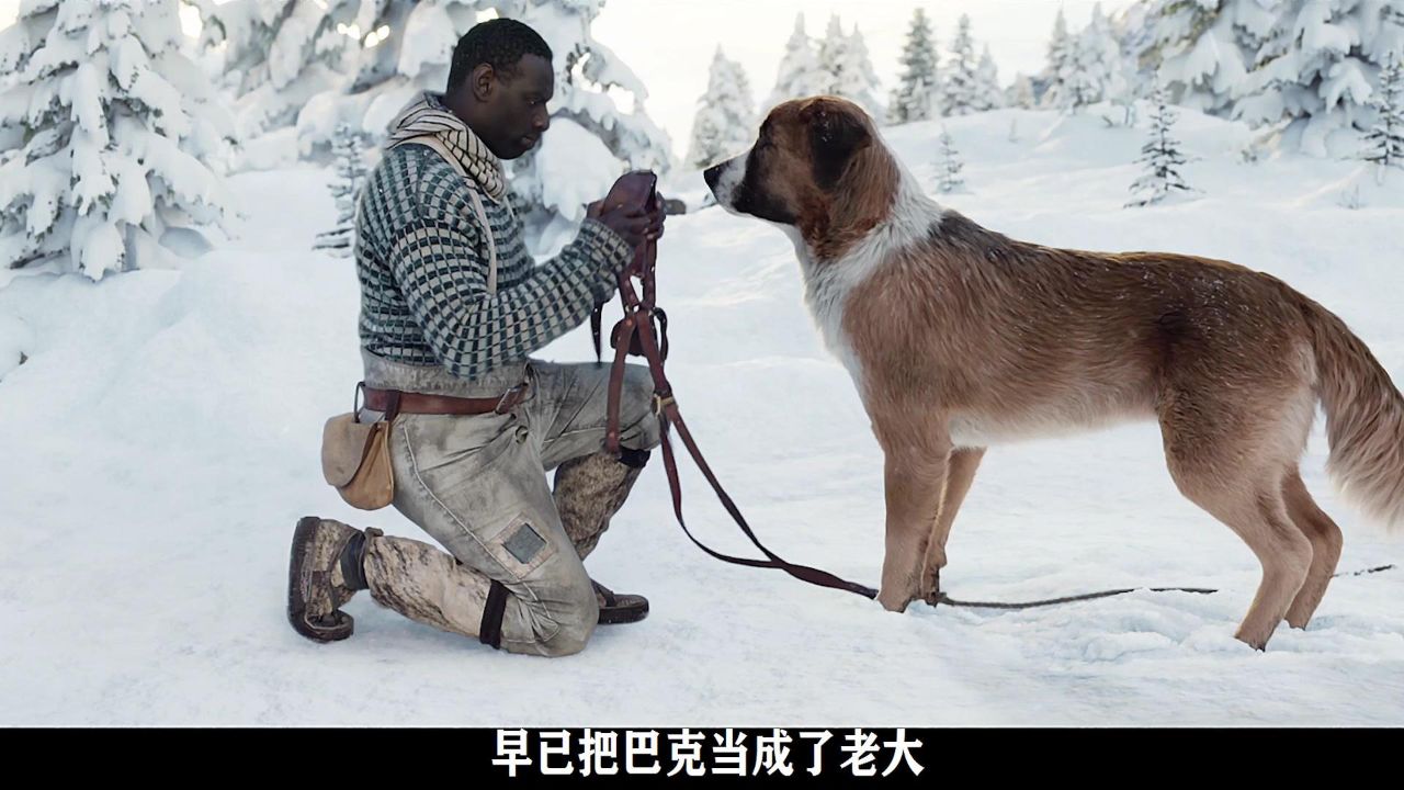 狗狗资源狗狗资源的重要性与利用