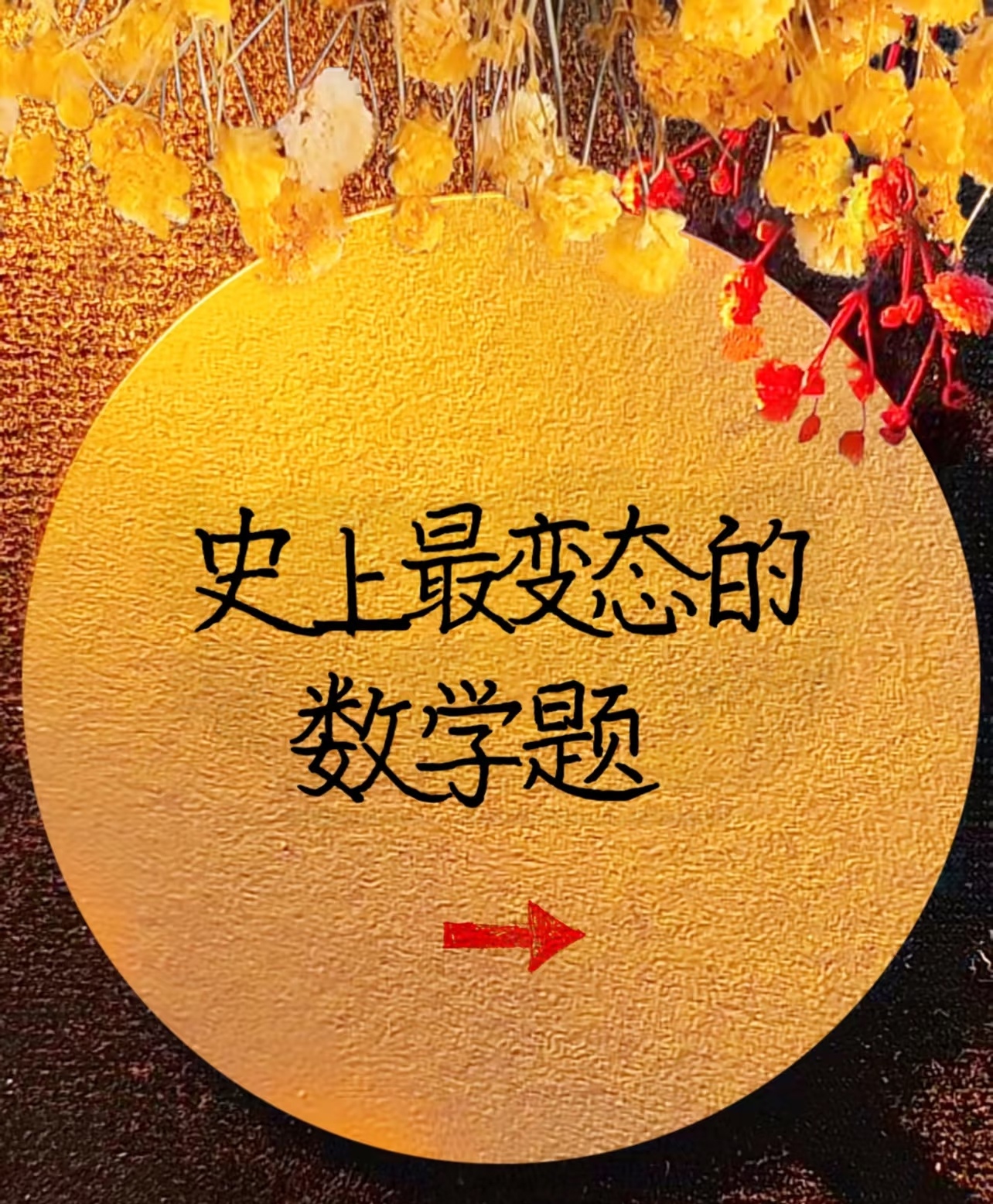 数学课代表的独特挑战与突破-第2张图片
