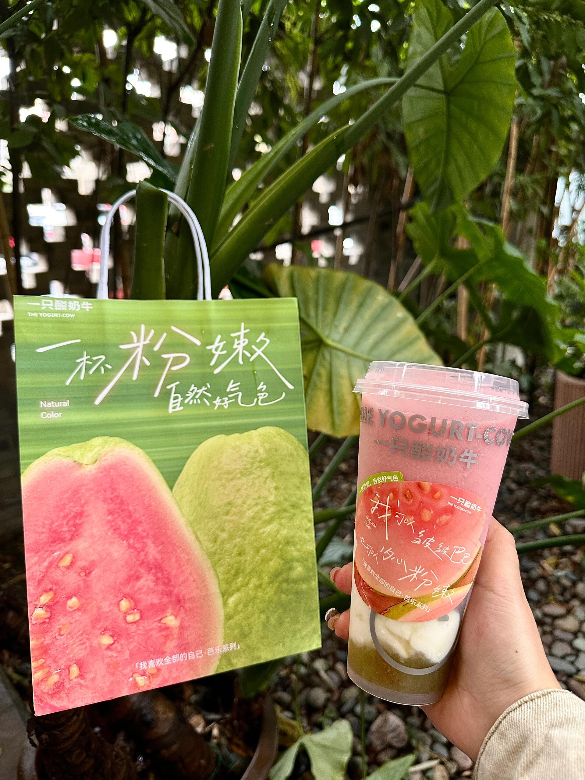 茄子丝瓜草莓芭乐向日葵未满18岁探索多彩的蔬果世界——以茄子丝瓜草莓芭乐向日葵为视角的成长故事-第1张图片